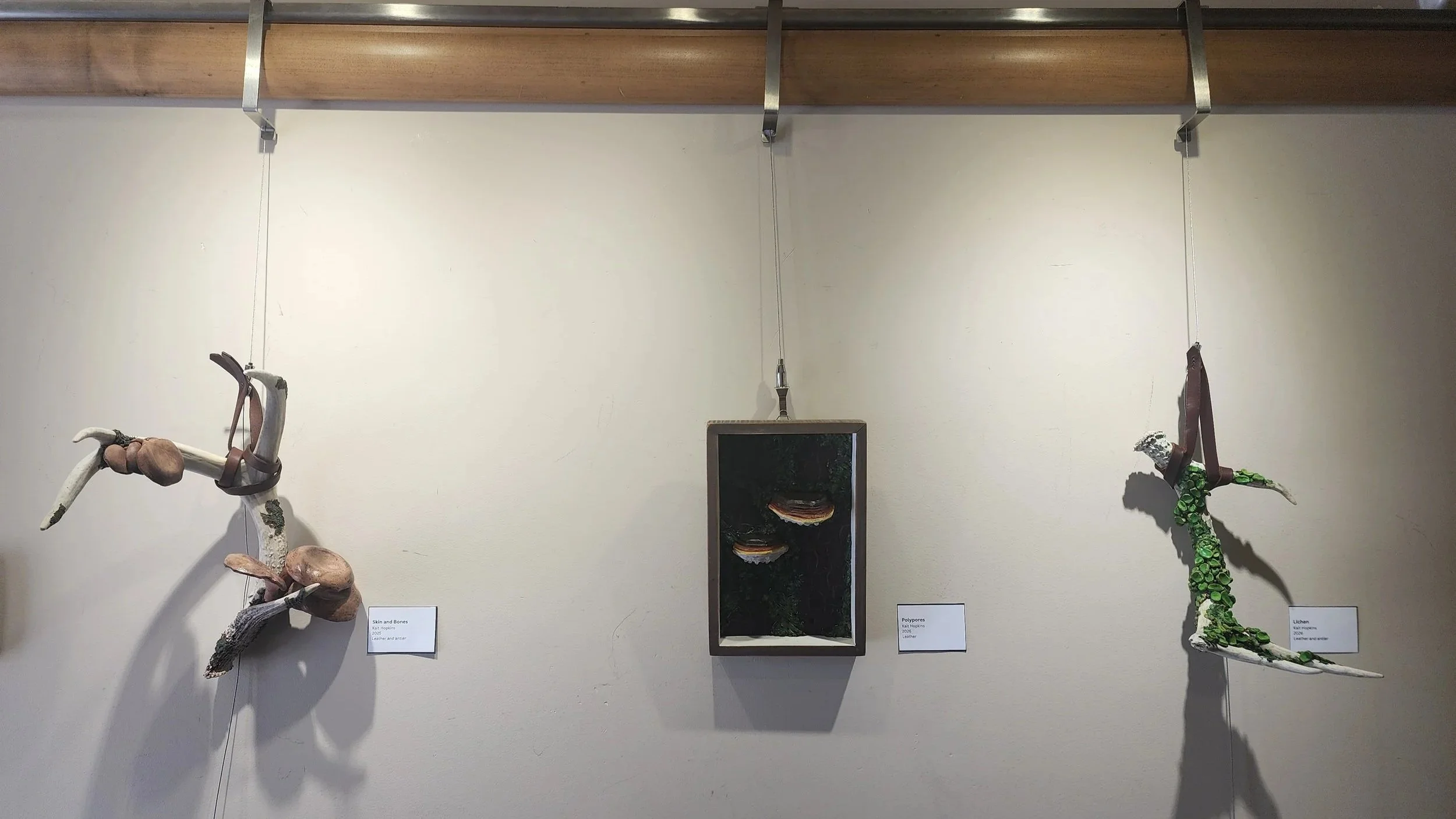 Coupeville Library June Featured Artist