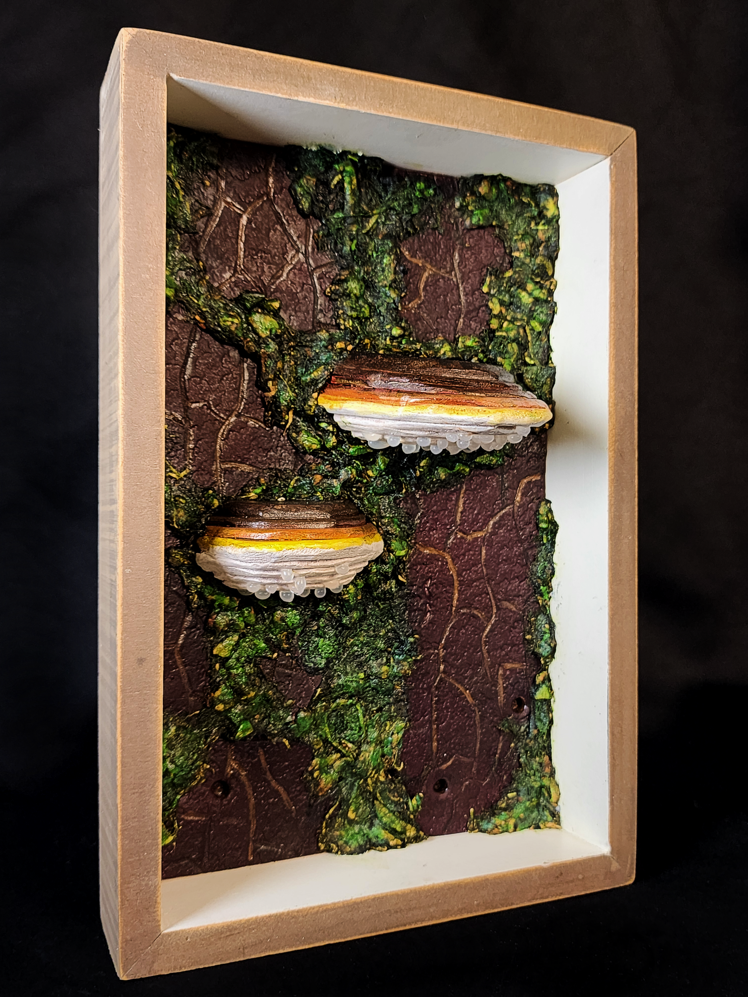 Banded Polypores.png