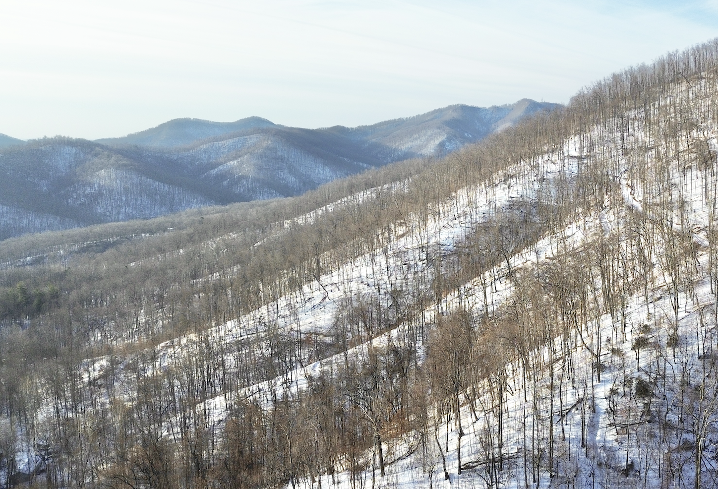 Screenshot 2026-01-31 at 11.36.06 AM.png