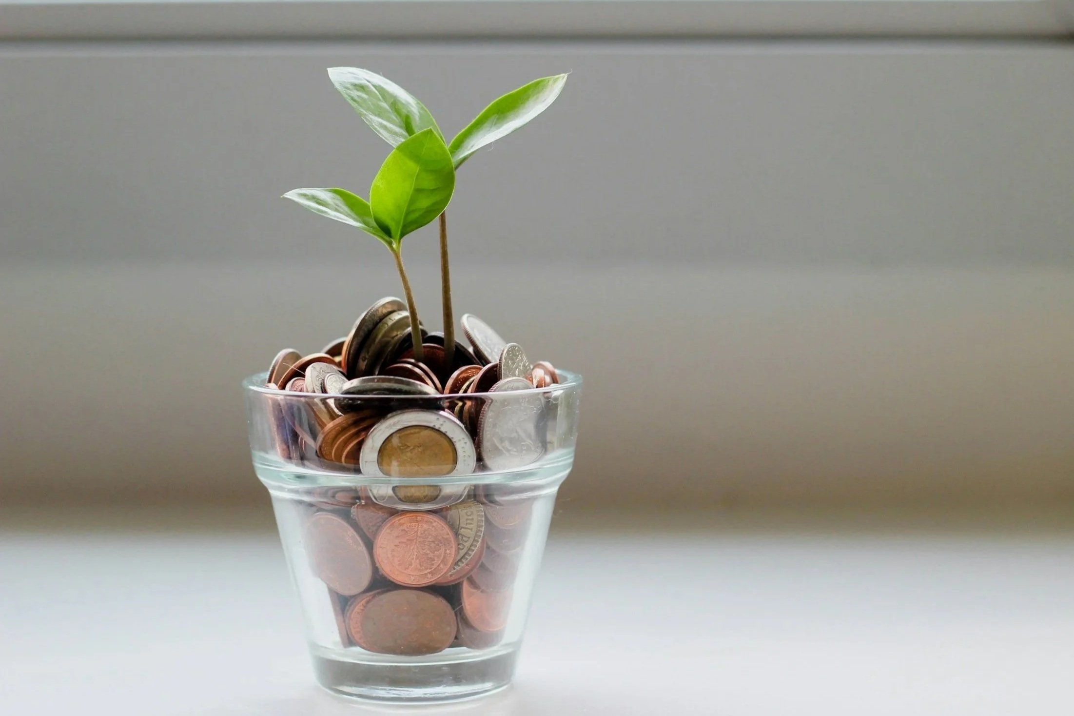Small glass cup filled with assorted coins, with a green plant sprouting from the coins.