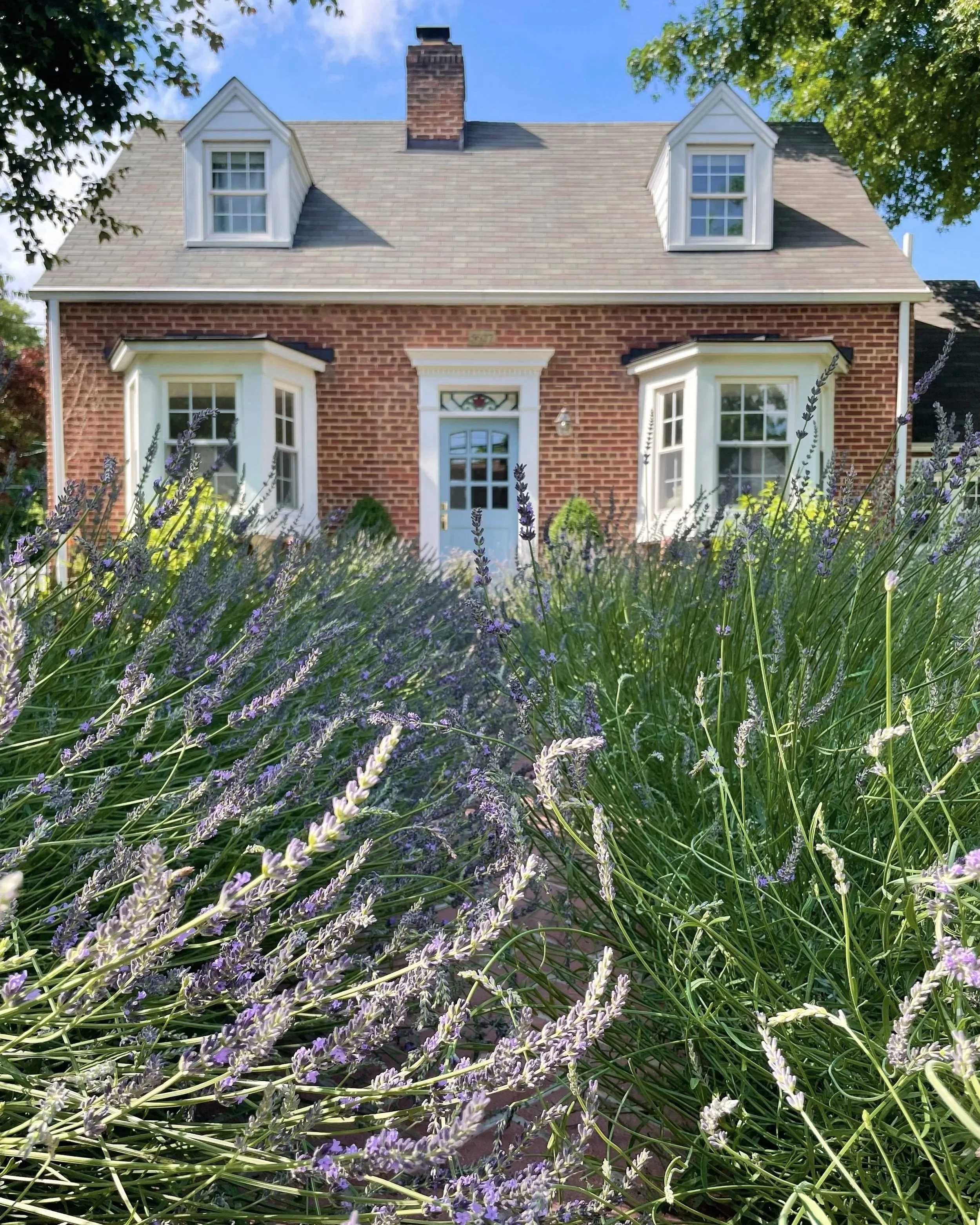 A brick house with two dormer windows on the upper floor and two large bay windows on the ground floor, decorated with white trim and surrounded by plants and purple flowers.