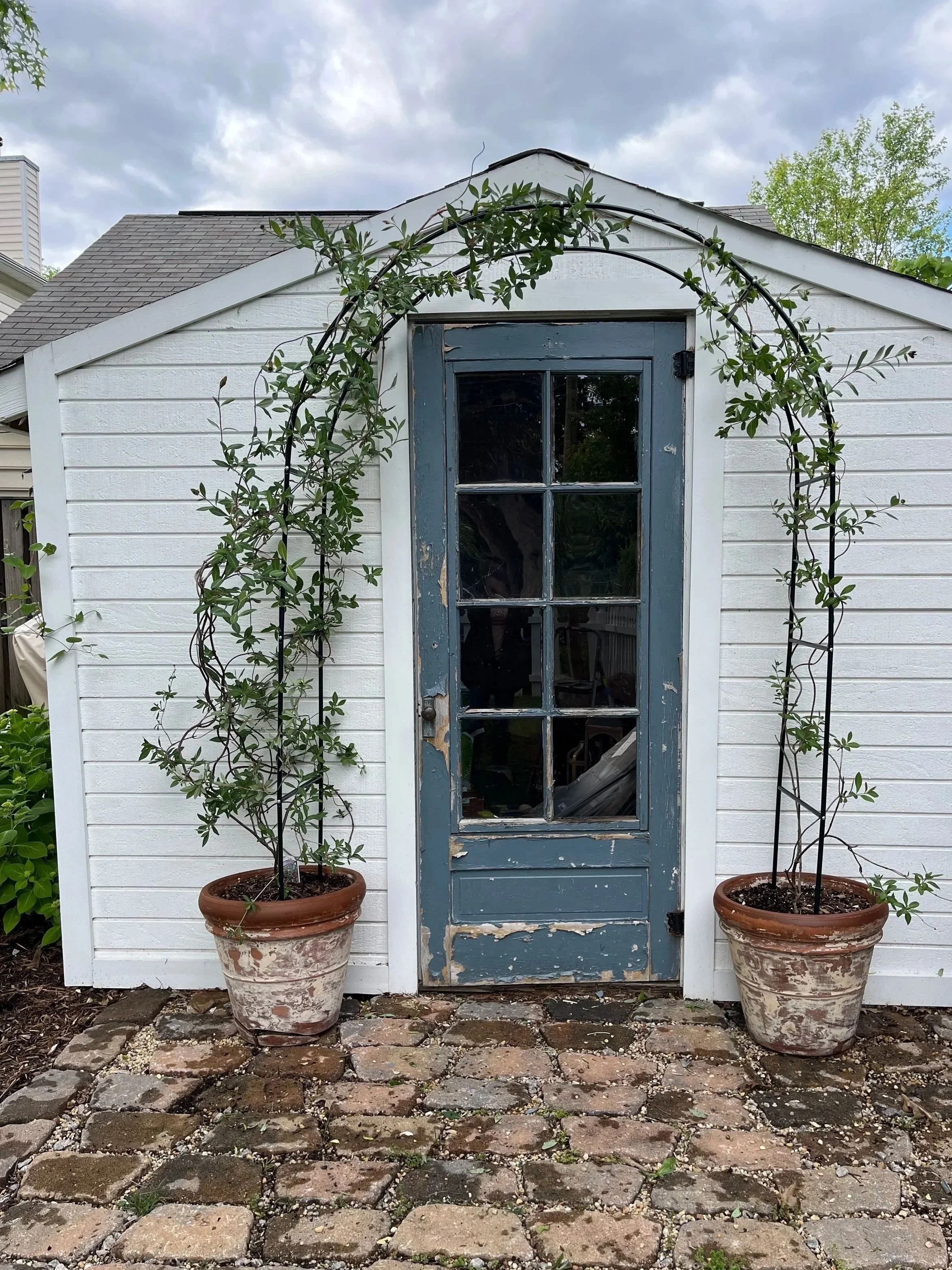 A small white shed with a blue wooden door that has chipped paint and a glass window. Potted plants with creeping vine plants framed the shed. The shed is on a brick patio with some scattered small stones and grass growing between the bricks.