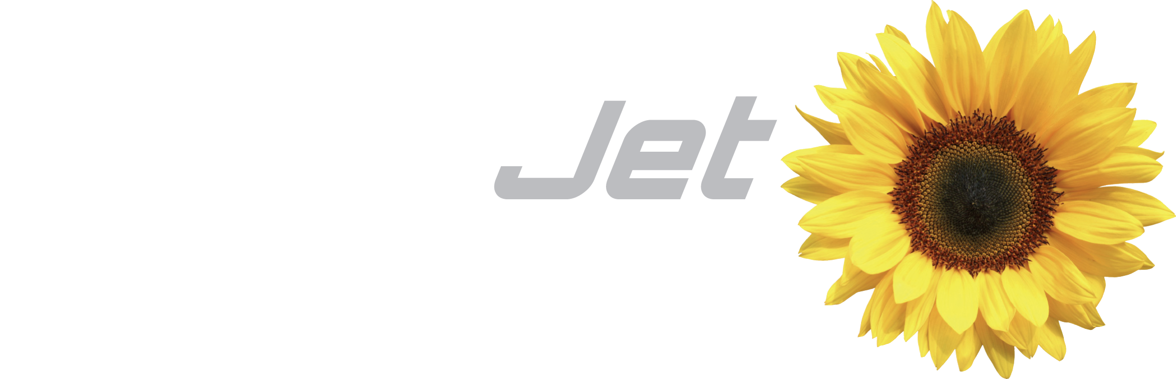 PermaJet Logo