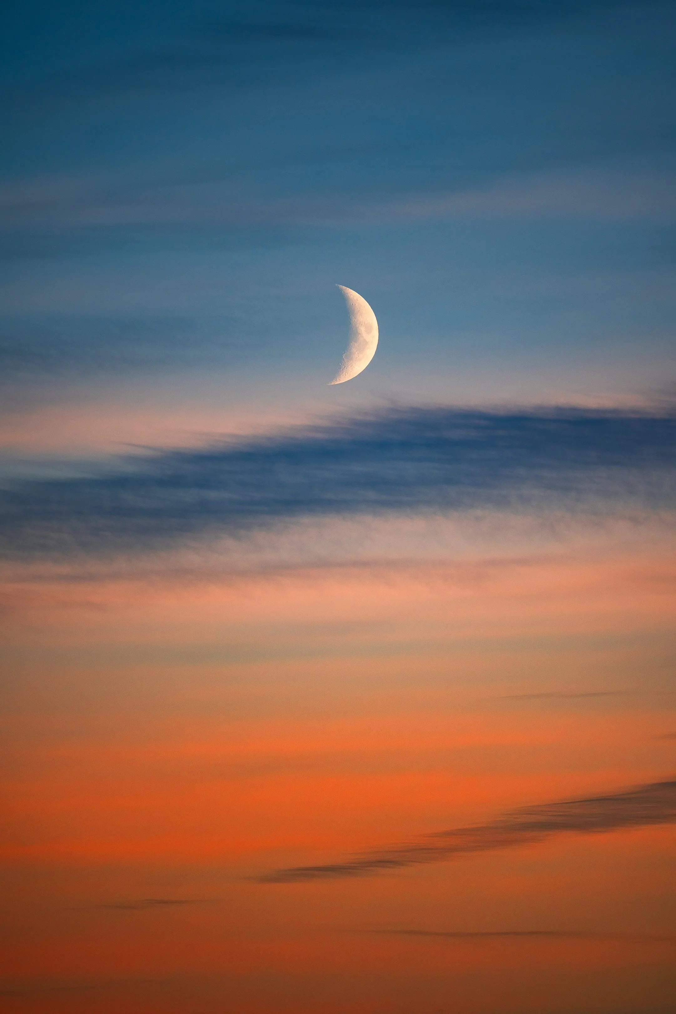 Moonlicious
