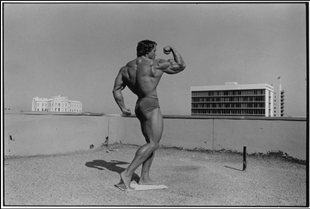 ~The Arnold~ 12 month Subscription