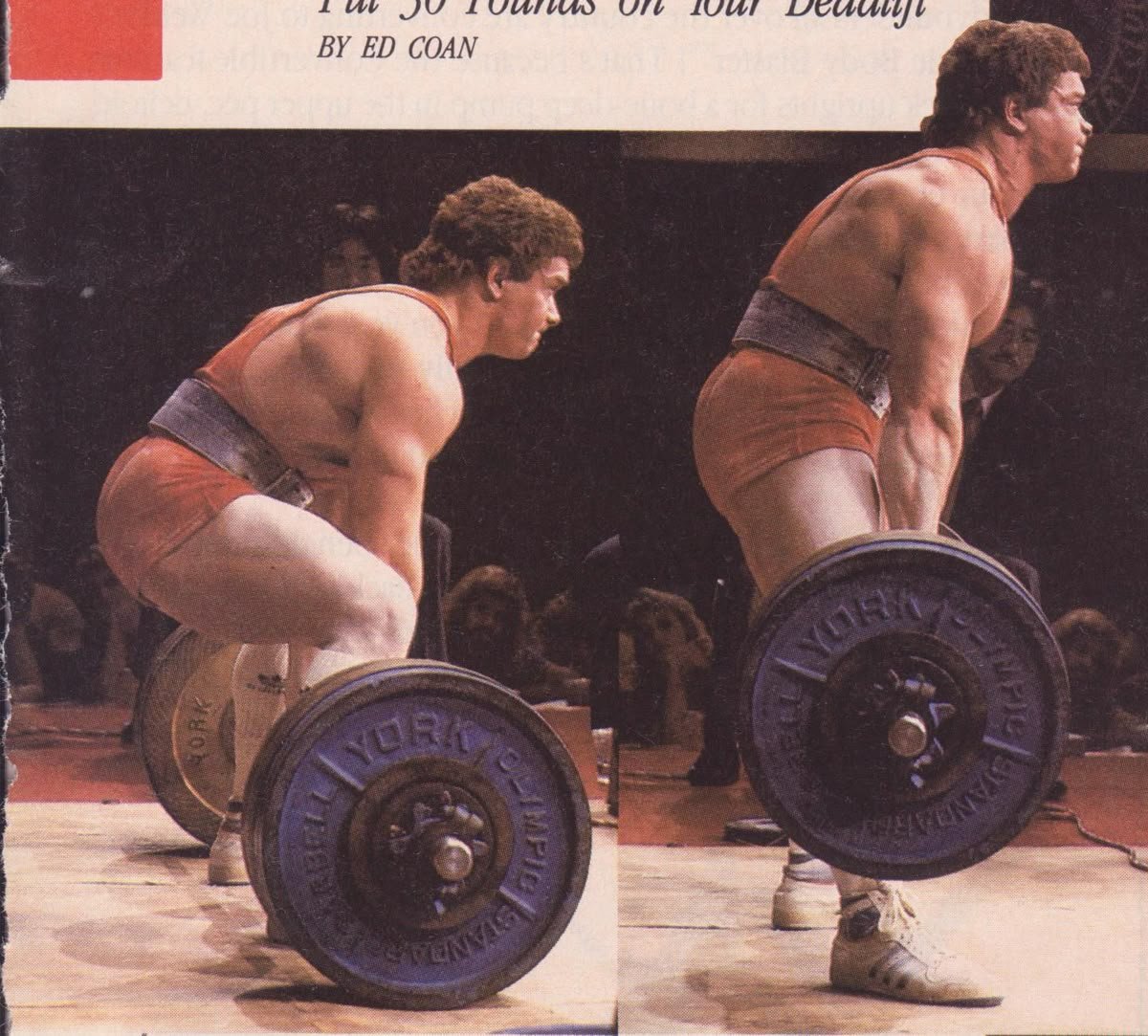 ~The Ed Coan~ 6 month Subscription