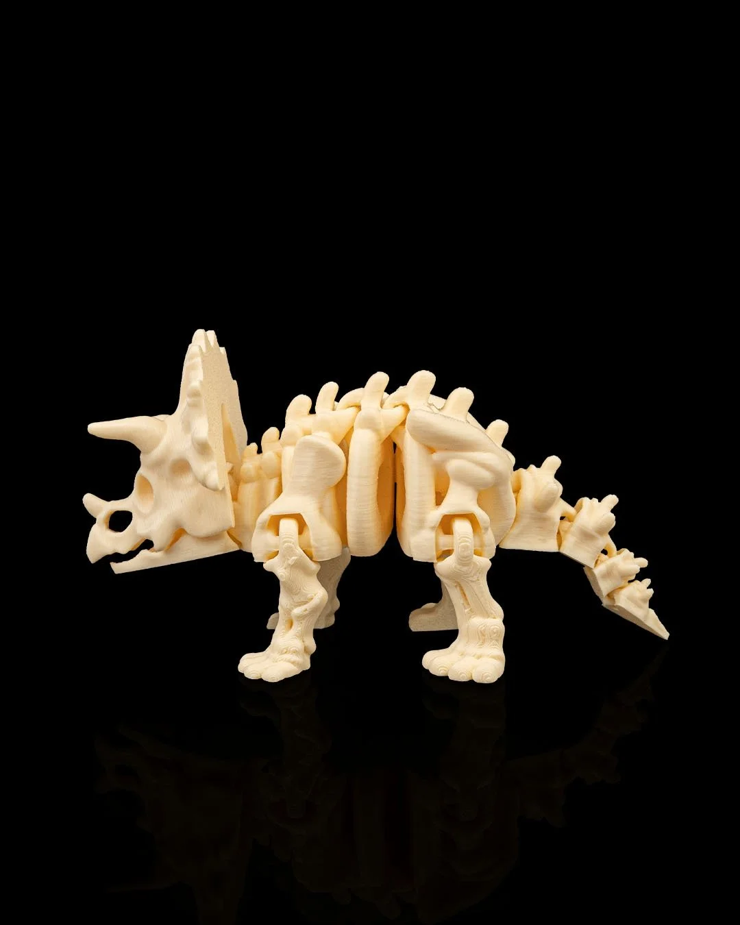 Skeleton_Triceratops4_80230757f6.jpg