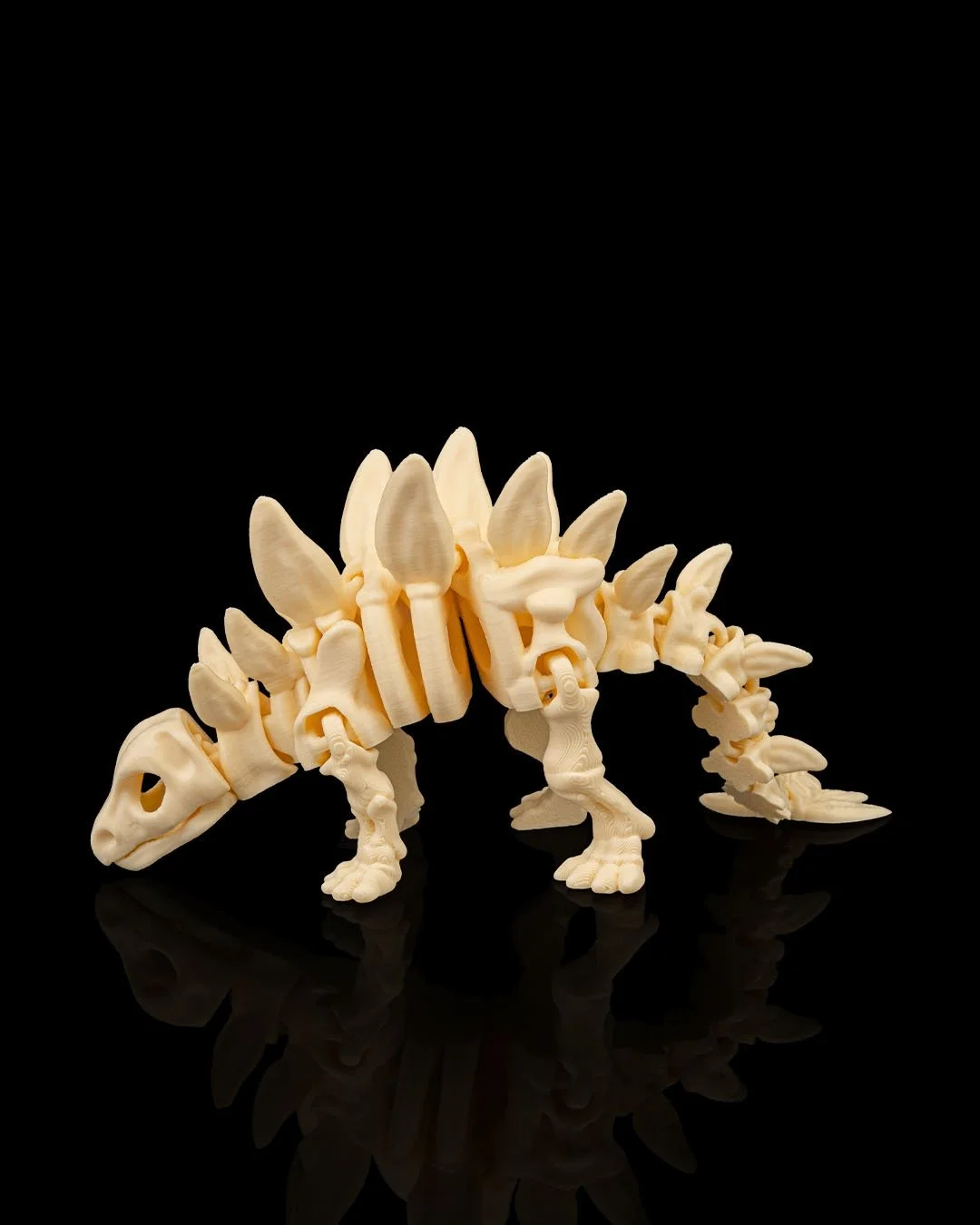 Skeleton_Stegosaurus2_4b5557cd58.jpg
