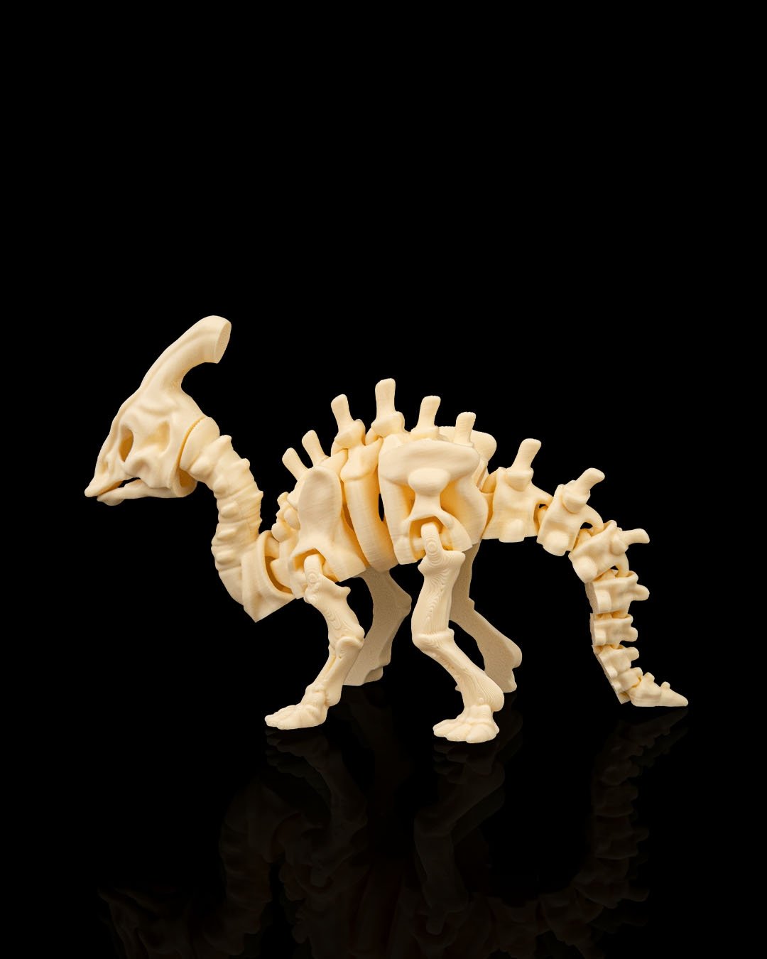 Skeleton_Parasaurolophus4_10b065efb8.jpg