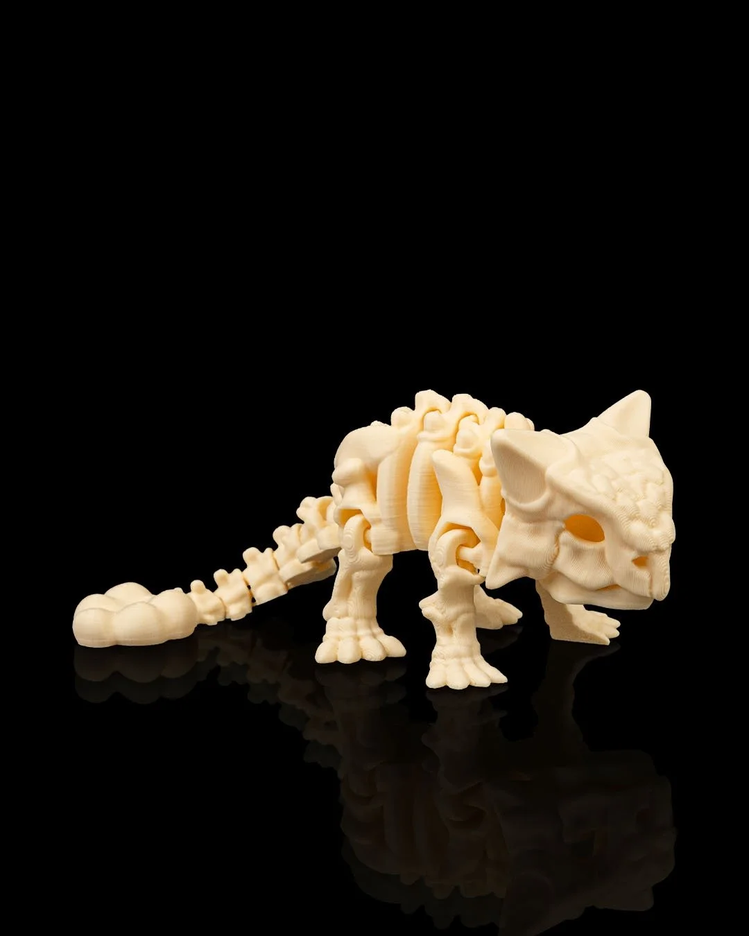 Skeleton_Ankylosaurus4_d912e13d36.jpg