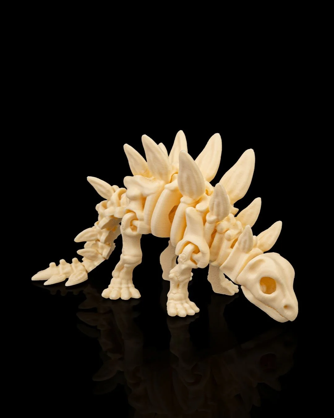 Skeleton_Stegosaurus5_32471f6339.jpg