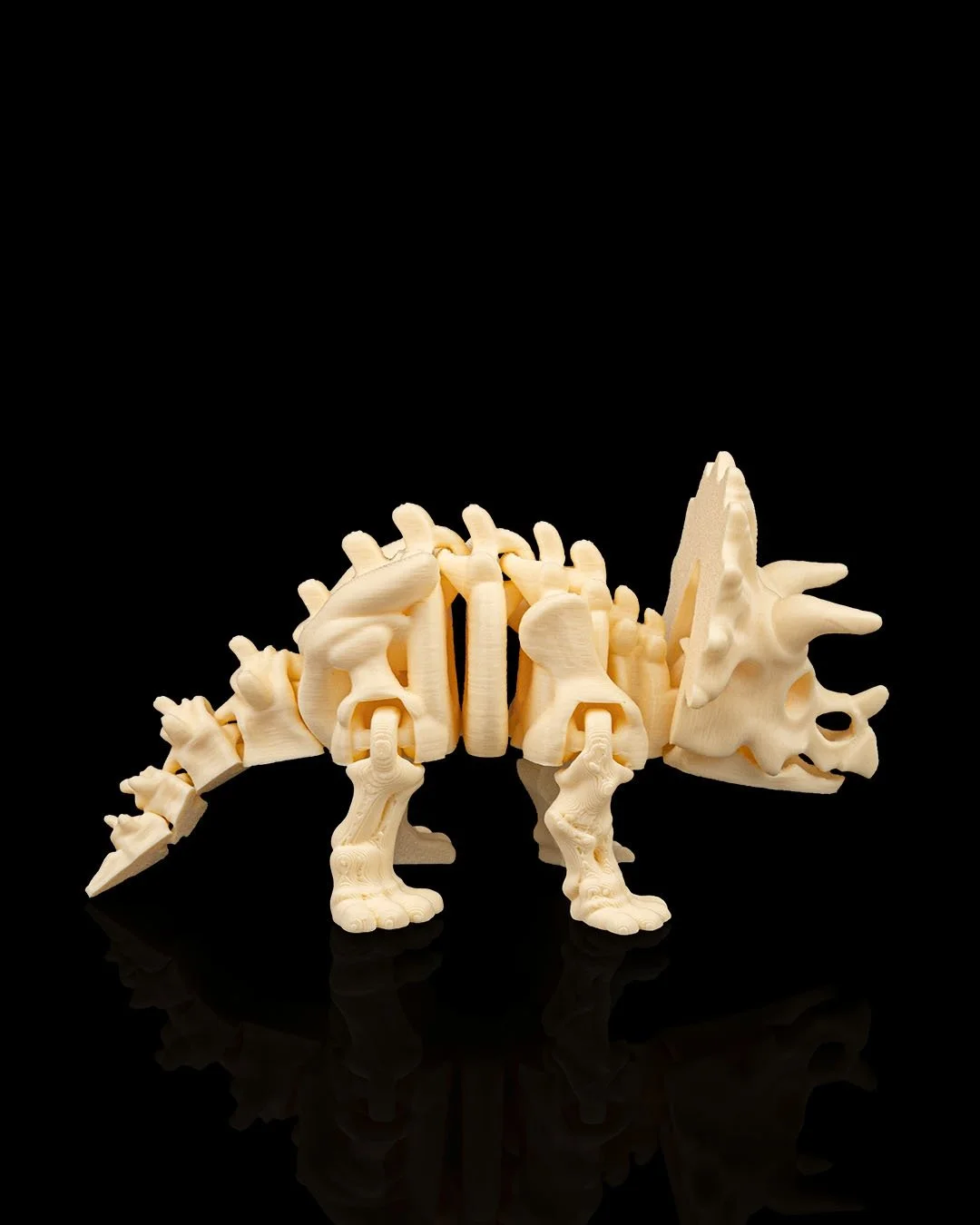 Skeleton_Triceratops2_37da24f1a2.jpg