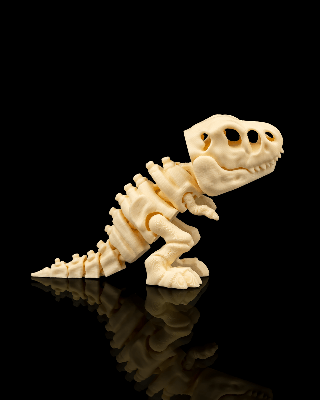 Skeleton_T_Rex_4_6acb02a961.png
