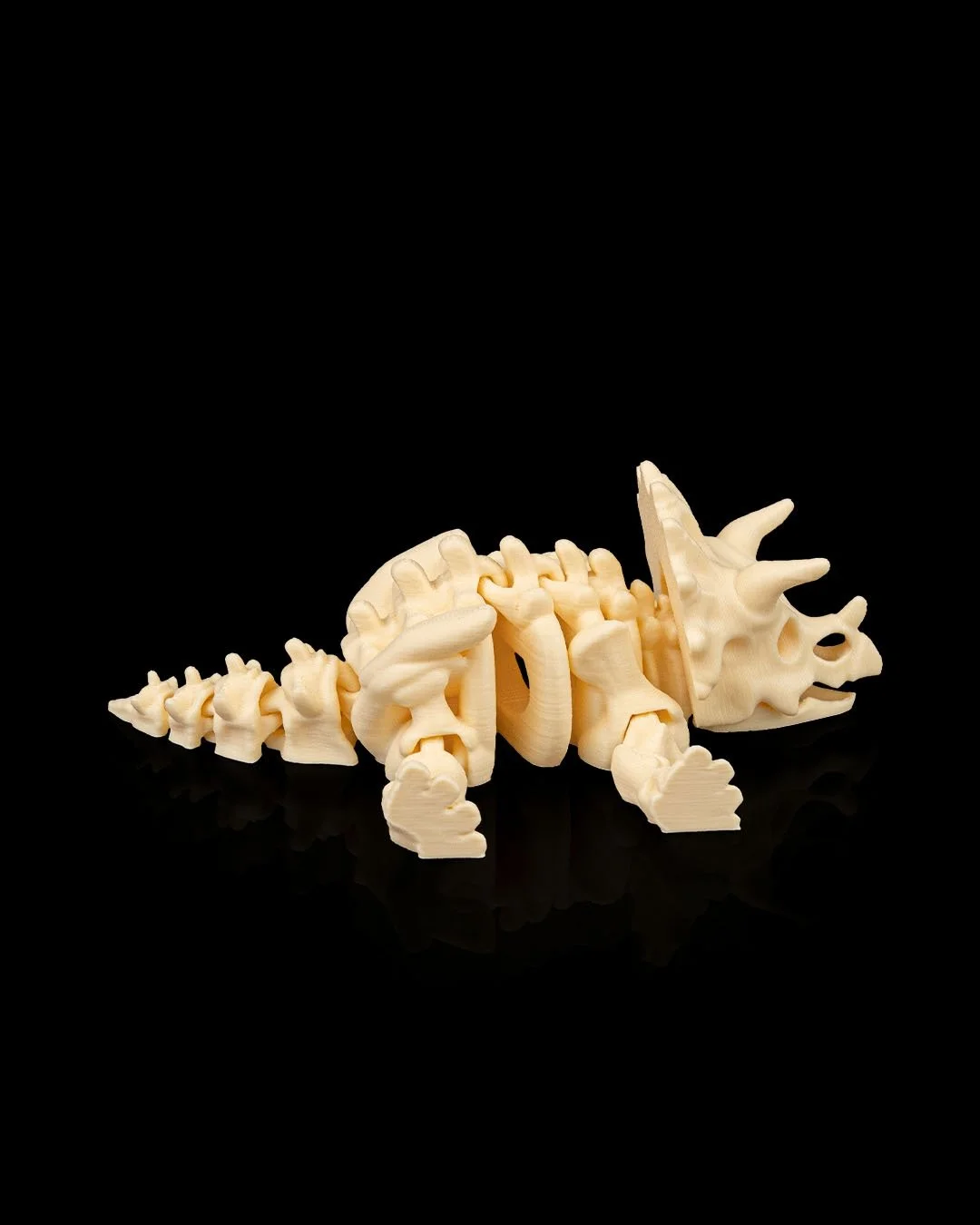 Skeleton_Triceratops6_290c6005df.jpg