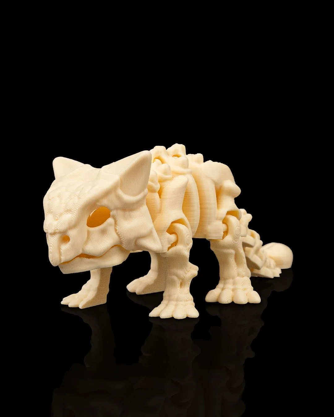 Skeleton_Ankylosaurus1_6e2bd62010.jpg