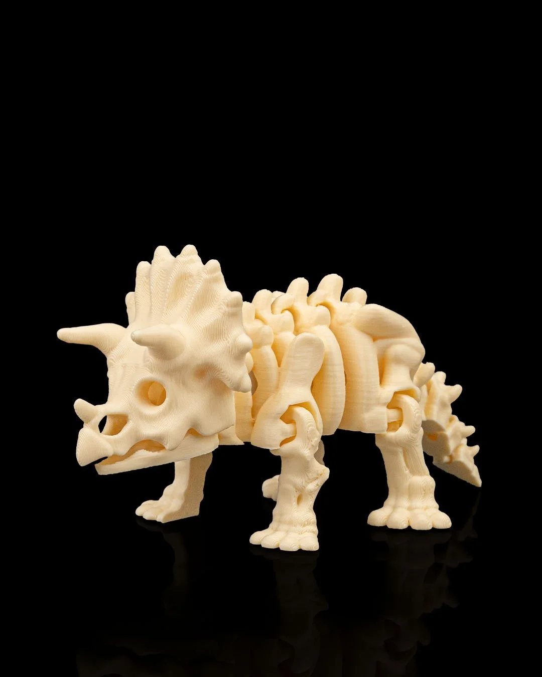 Skeleton_Triceratops5_35ca021436.jpg