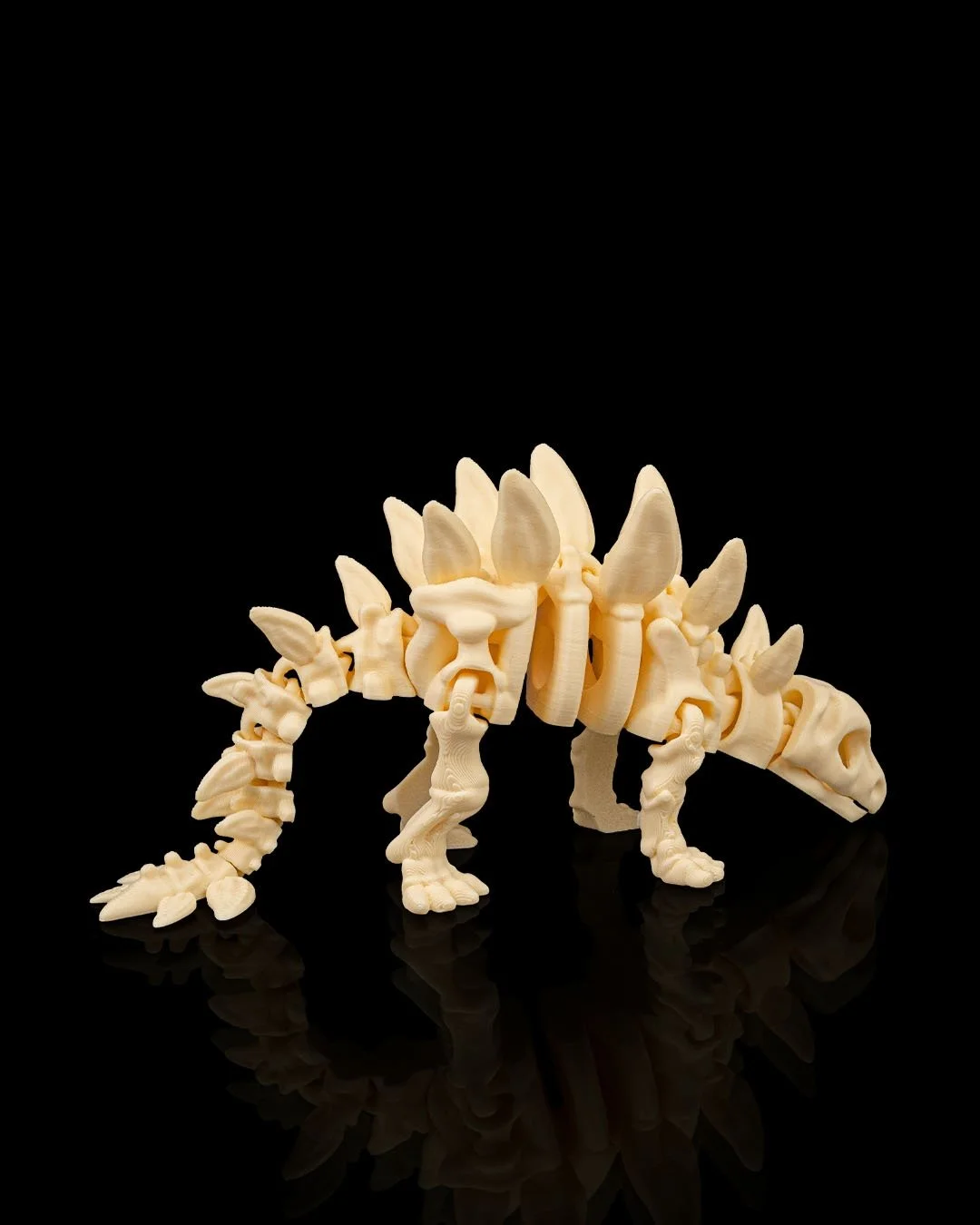 Skeleton_Stegosaurus4_5aa8b18252.jpg
