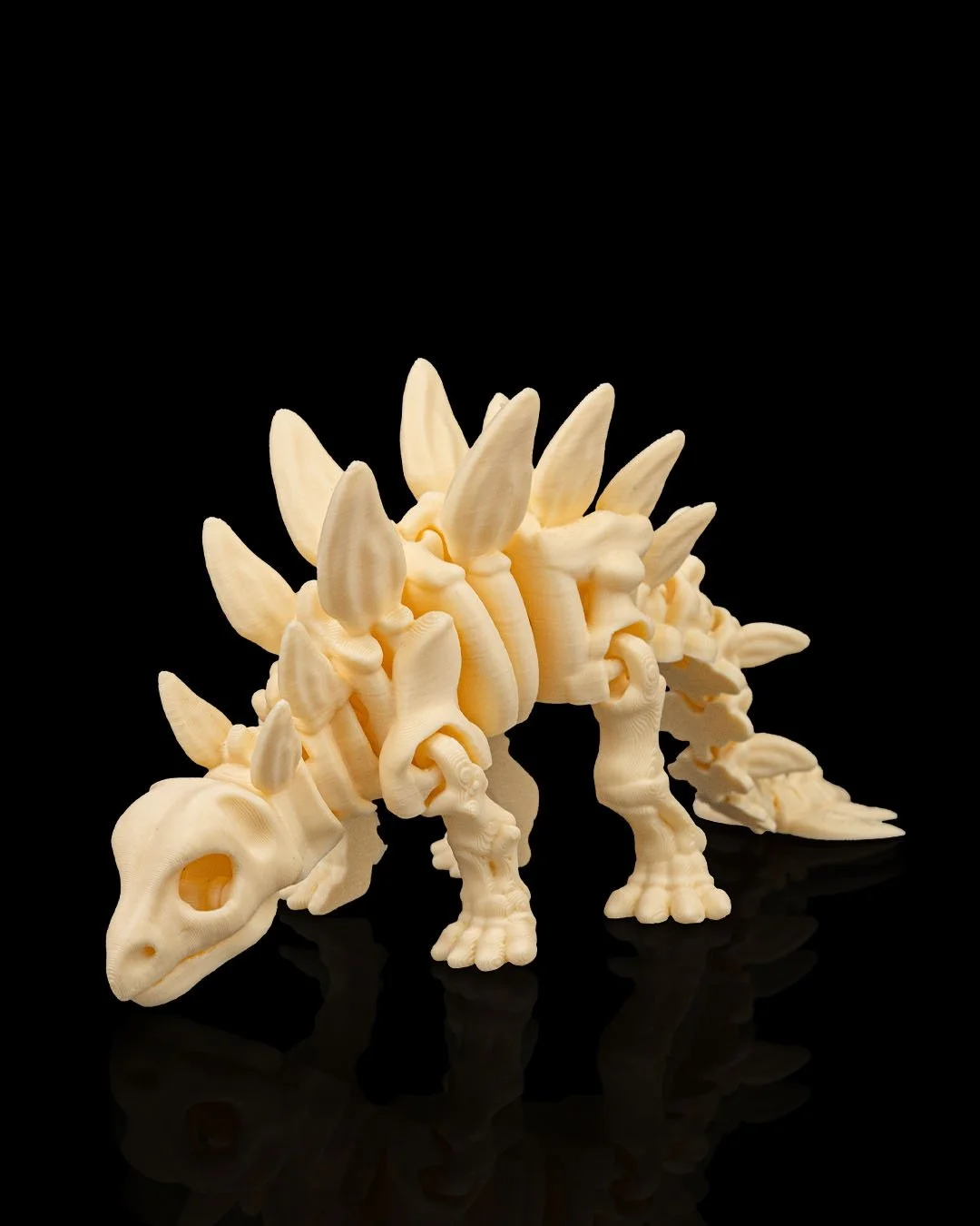 Skeleton_Stegosaurus1_f811e6793d.jpg