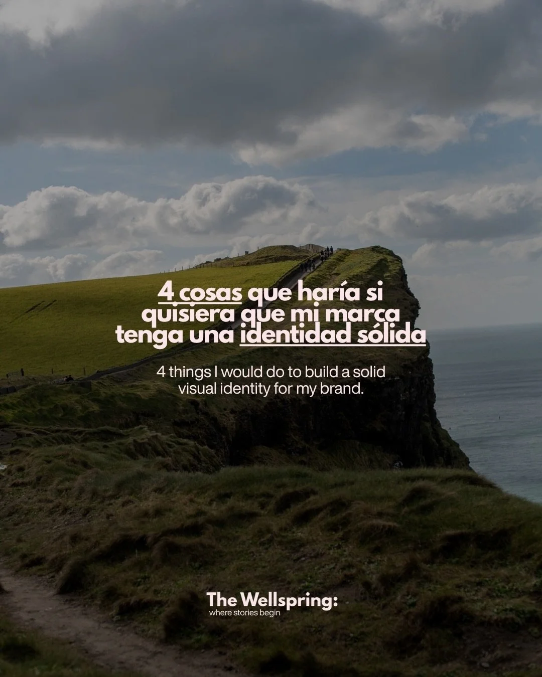 La identidad visual de una marca no es solo c&oacute;mo se ve. Es c&oacute;mo se siente, qu&eacute; comunica y desde d&oacute;nde lo hace. Estos son los cuatro puntos en los que me enfocar&iacute;a si quisiera construirla bien. 

#identidaddemarca #b