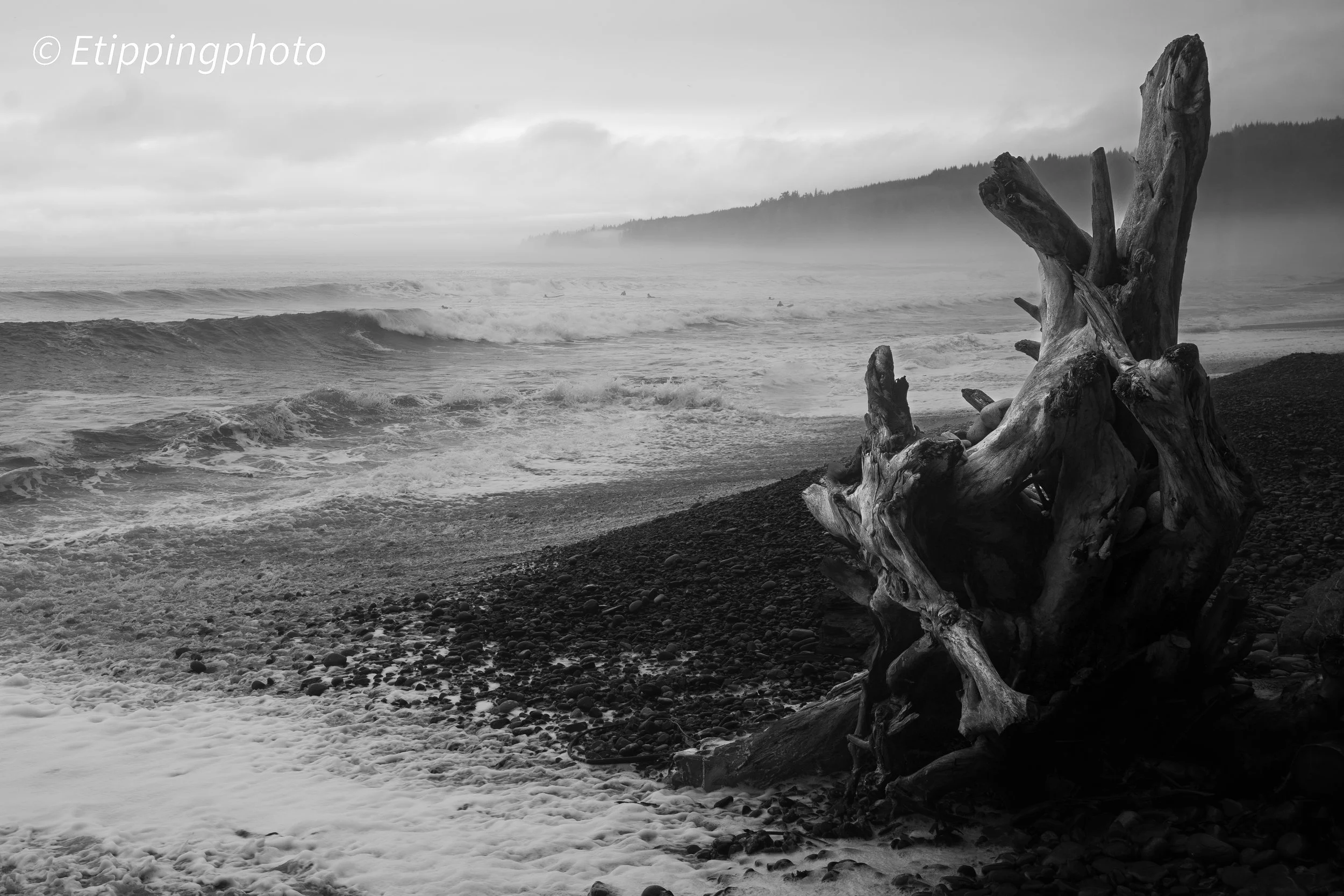 Driftwood and Surf — Sombrio Beach · 34 mm · 1/125 s · f/8.0 · ISO 125
