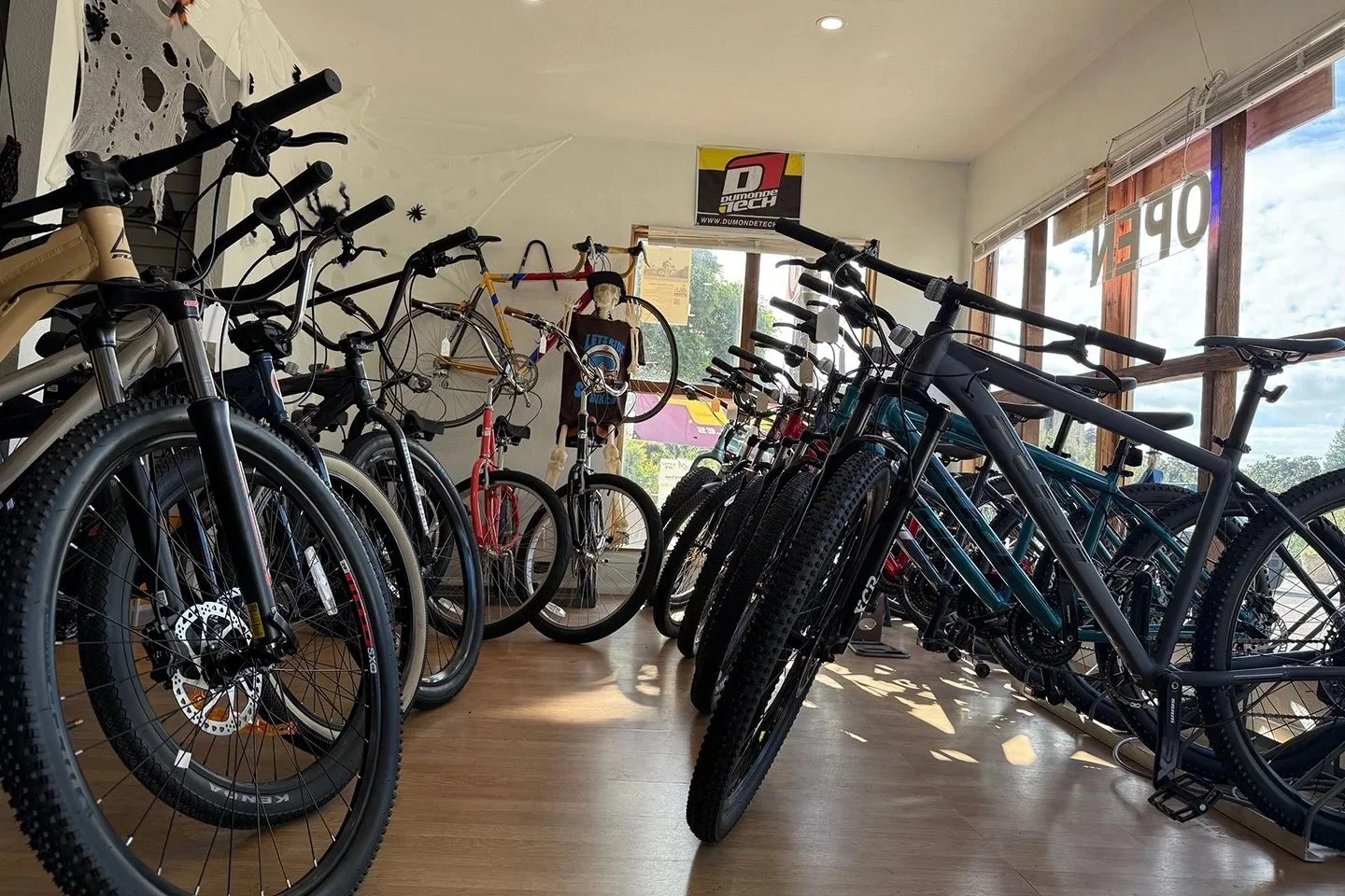 Interior of a bicycle shop displaying various mountain bikes lined up side by side near large windows, with a mannequin in cycling gear and posters on the wall.