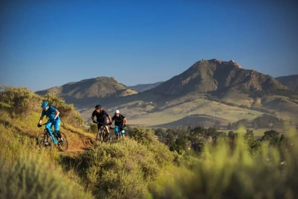 Three mountain bikers riding on a trail through green hilly landscape with mountains in the background.