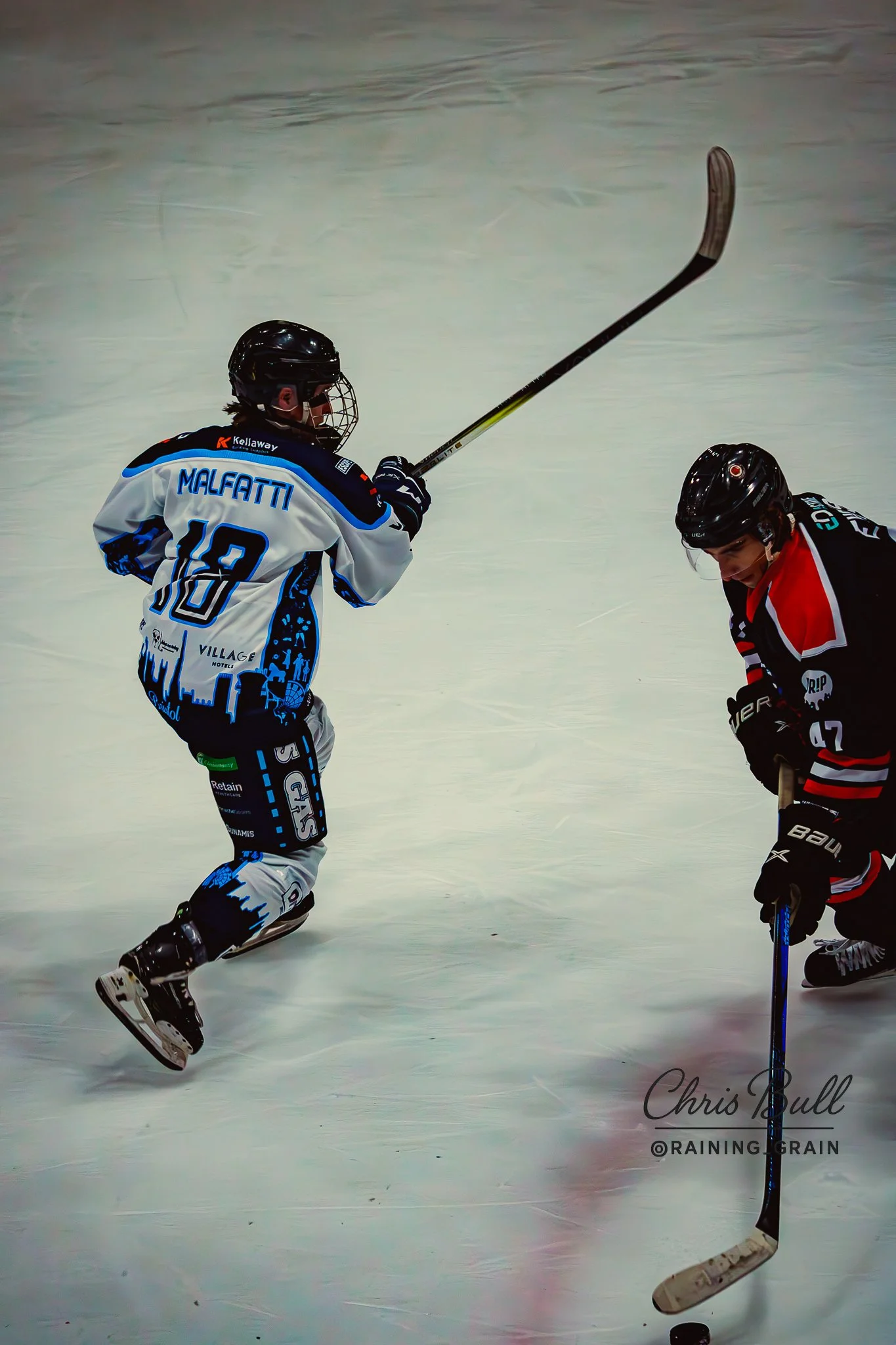 IMG_4331.jpg