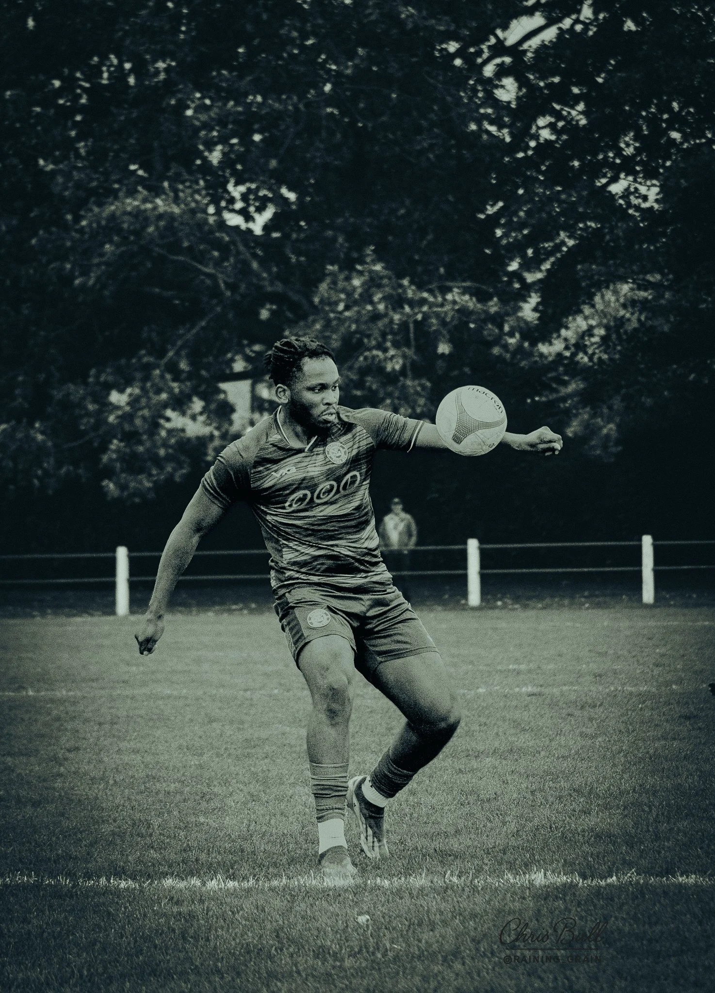 IMG_2135-2.jpg