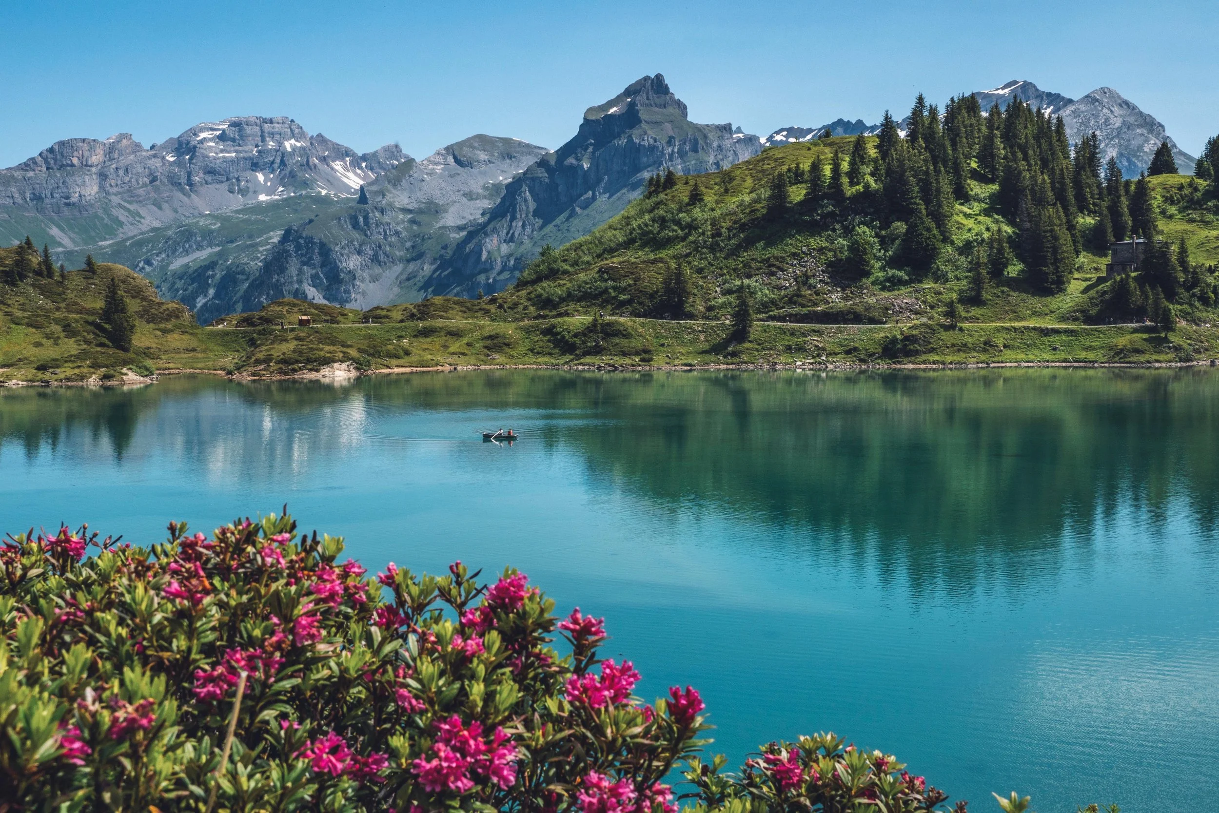 A tranquil mountain lake surrounded by green hills and forest, with snowy peaks in the background and a small boat on the water.