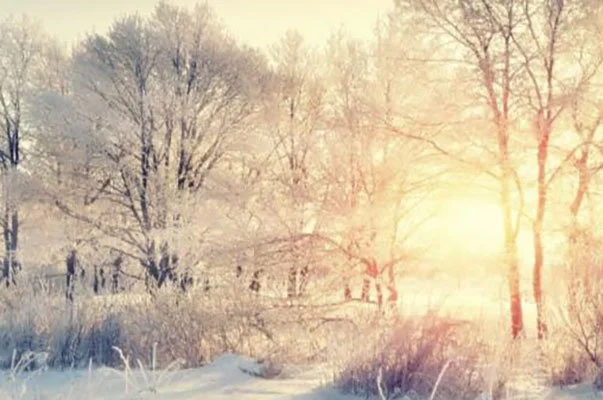 Memory Care Support Group