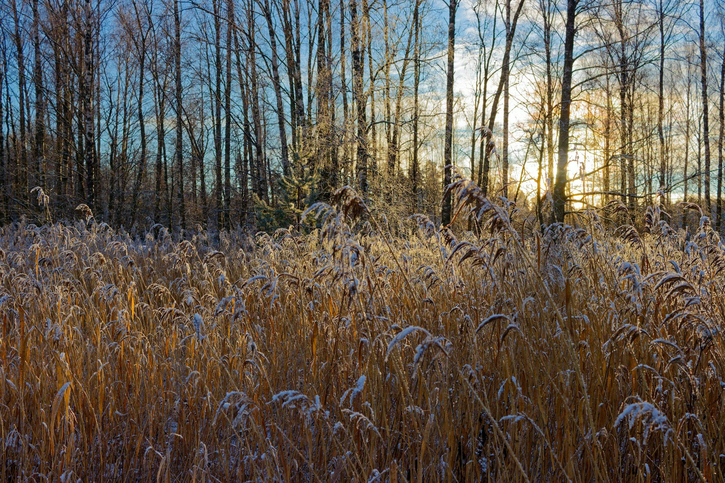 Memory Care Support Group