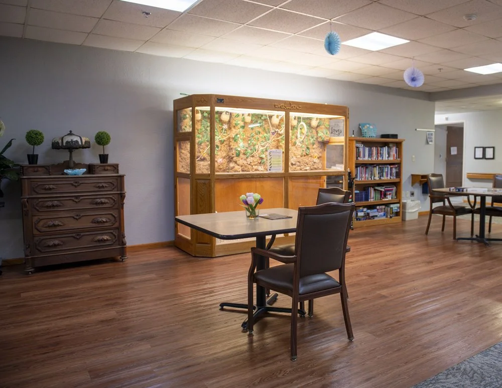 Centrally located aviary provides birdwatching opportunities to nursing home residents