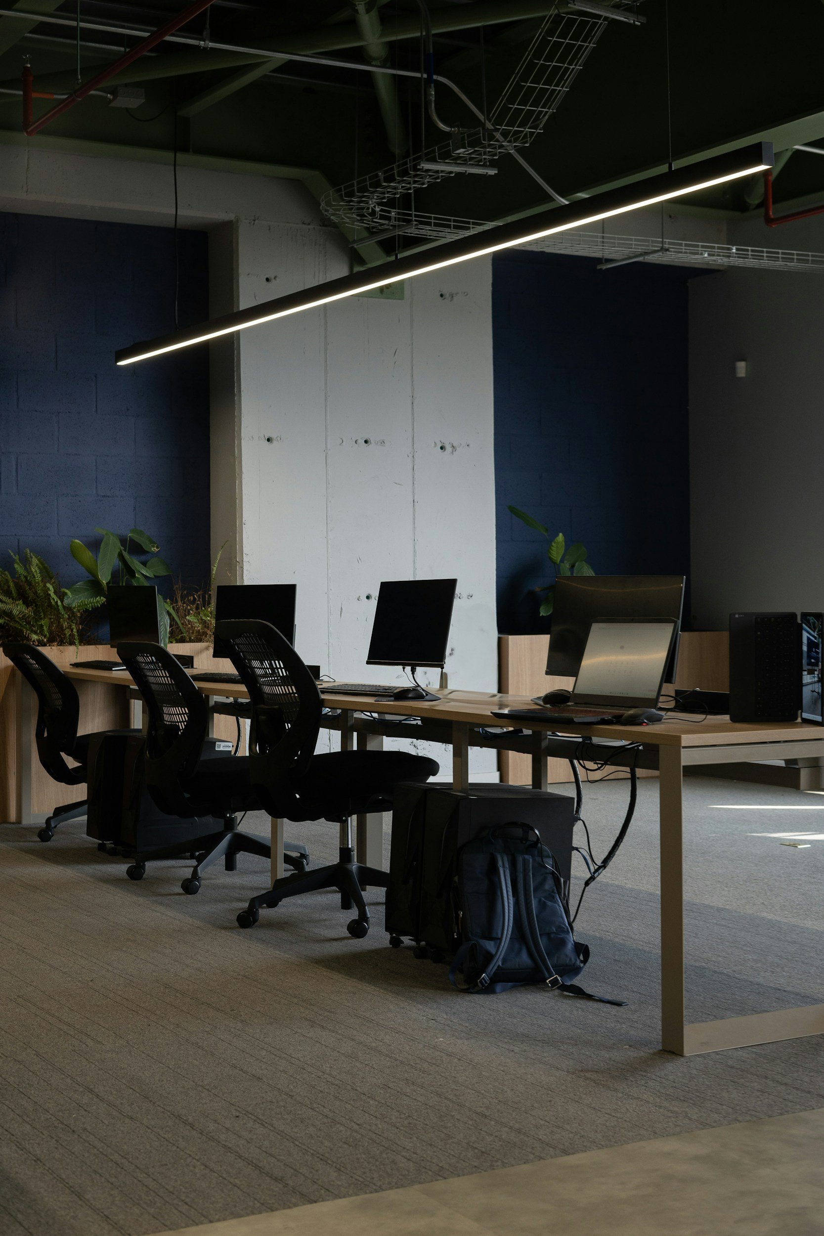 An empty modern office workspace with four black office chairs, four computer monitors, a desktop computer, and a backpack on the floor. The office has a wooden desk, green plants, and a dark blue and white accent wall. Overhead lighting and exposed ceiling pipes are visible.
