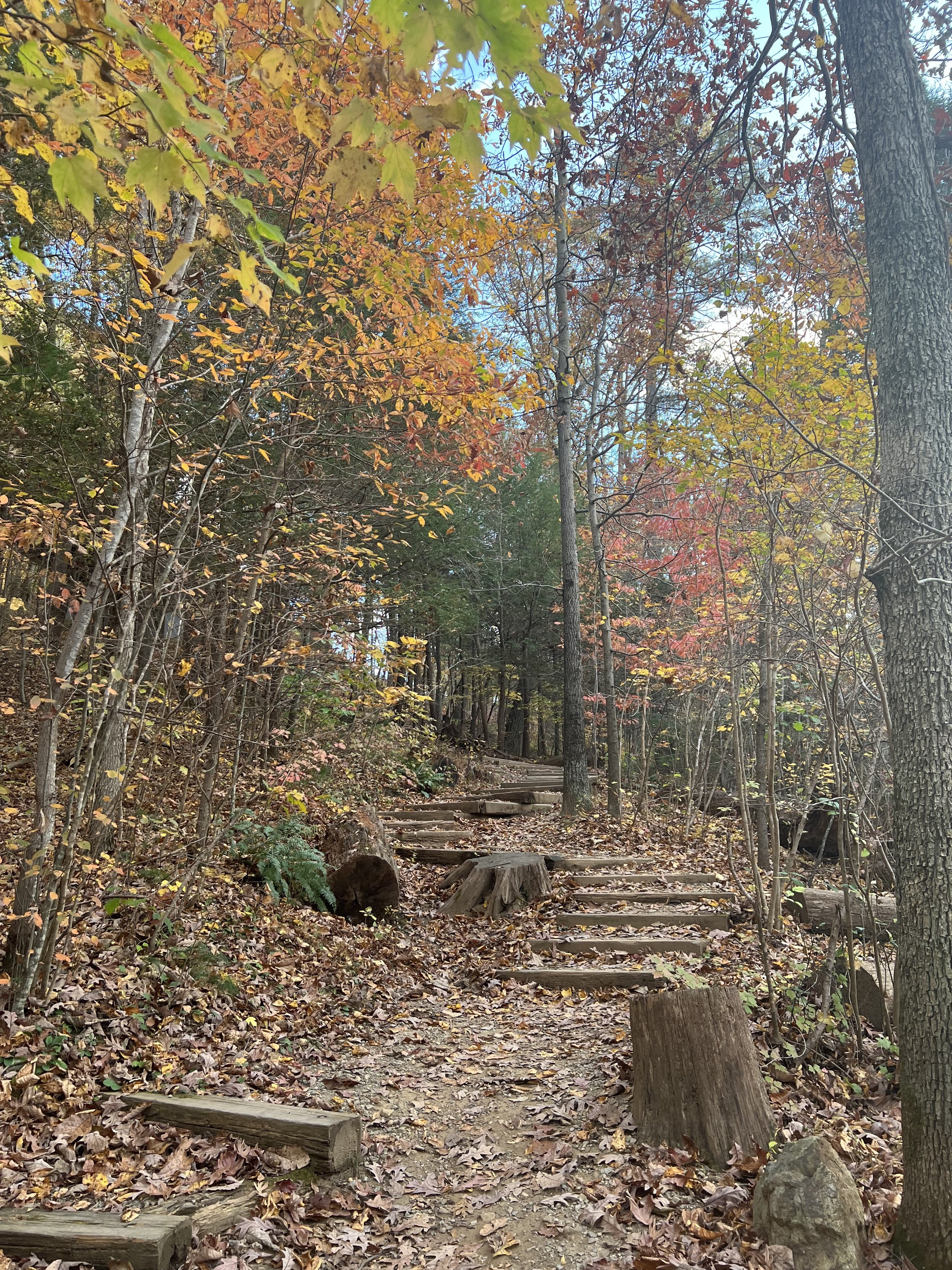 emdr therapist in virginia