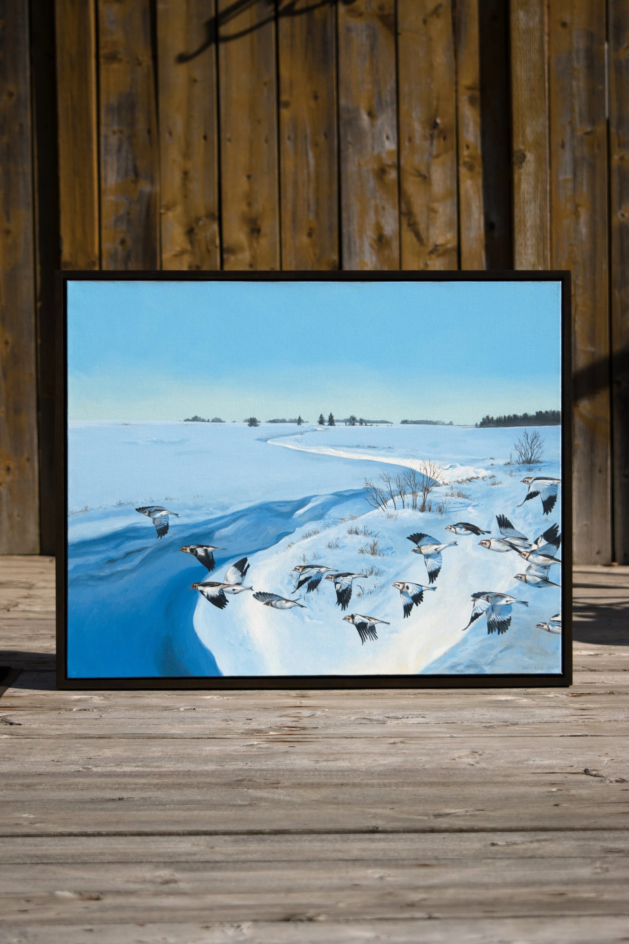 Winter Birding New Frame.jpg