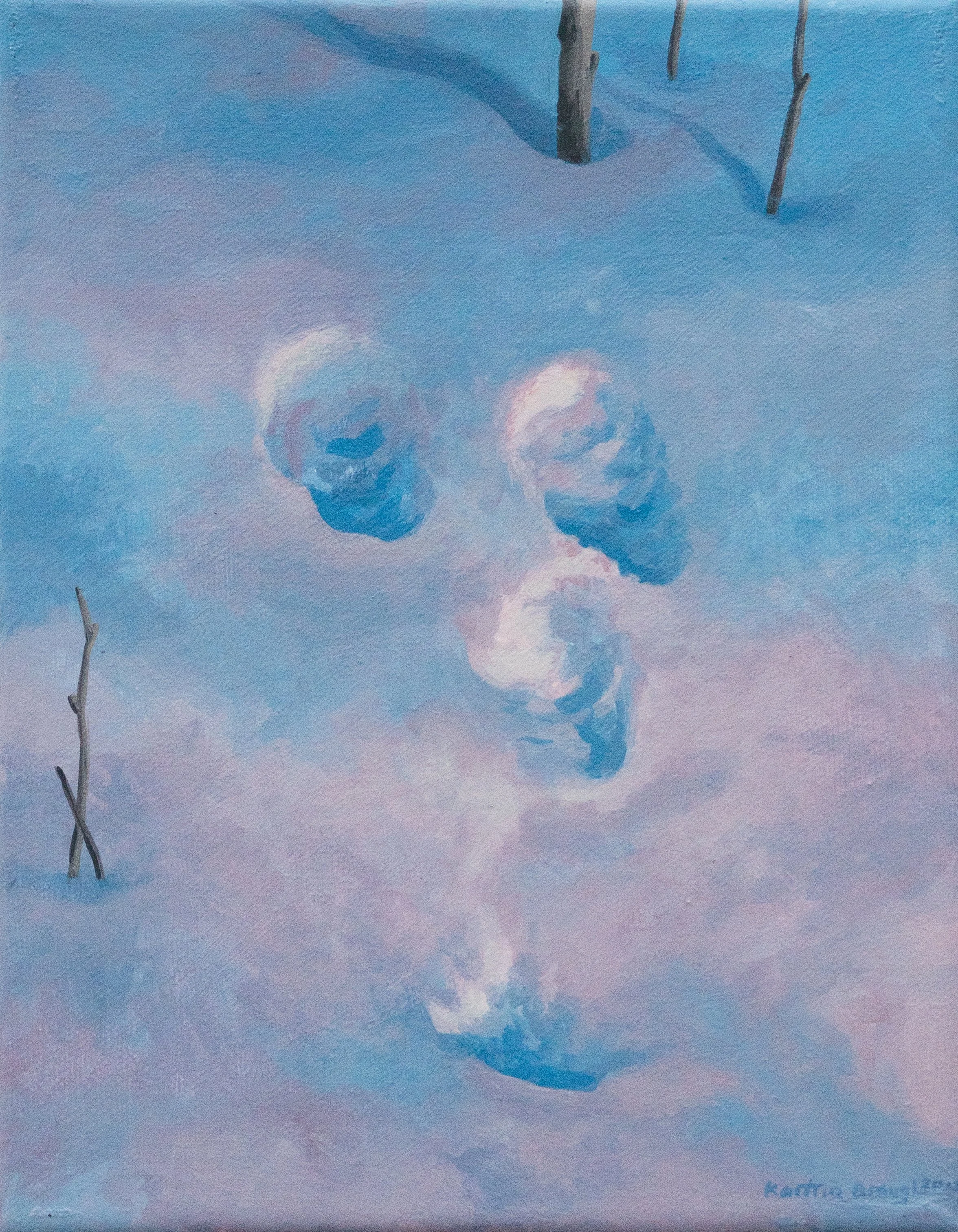 Snow Study IV cropped .jpg