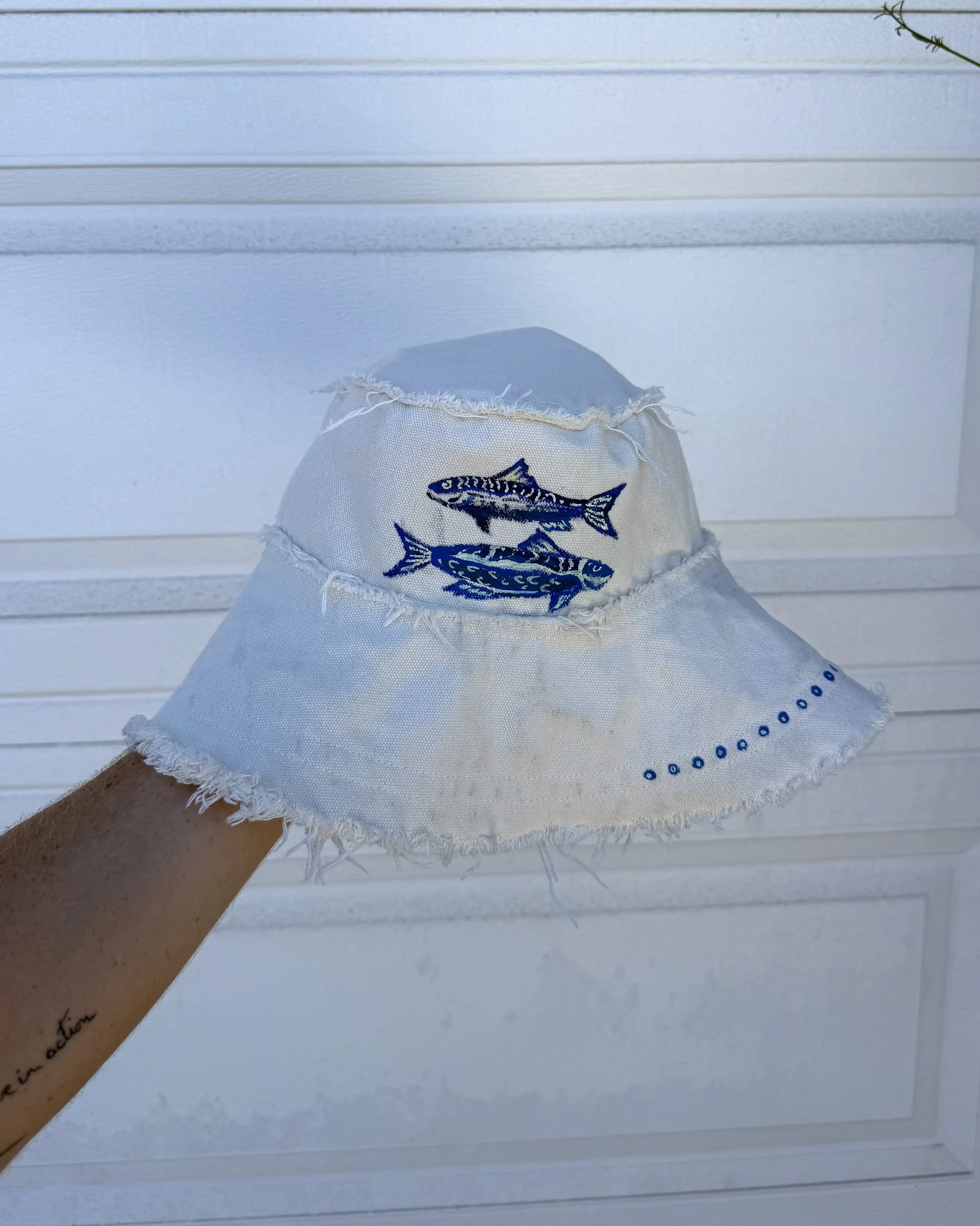 fishy.jpg