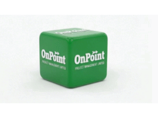 OnPoint Project Management