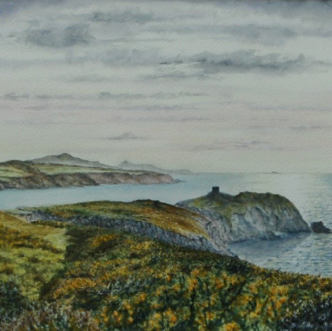 Gorse cropped.JPG