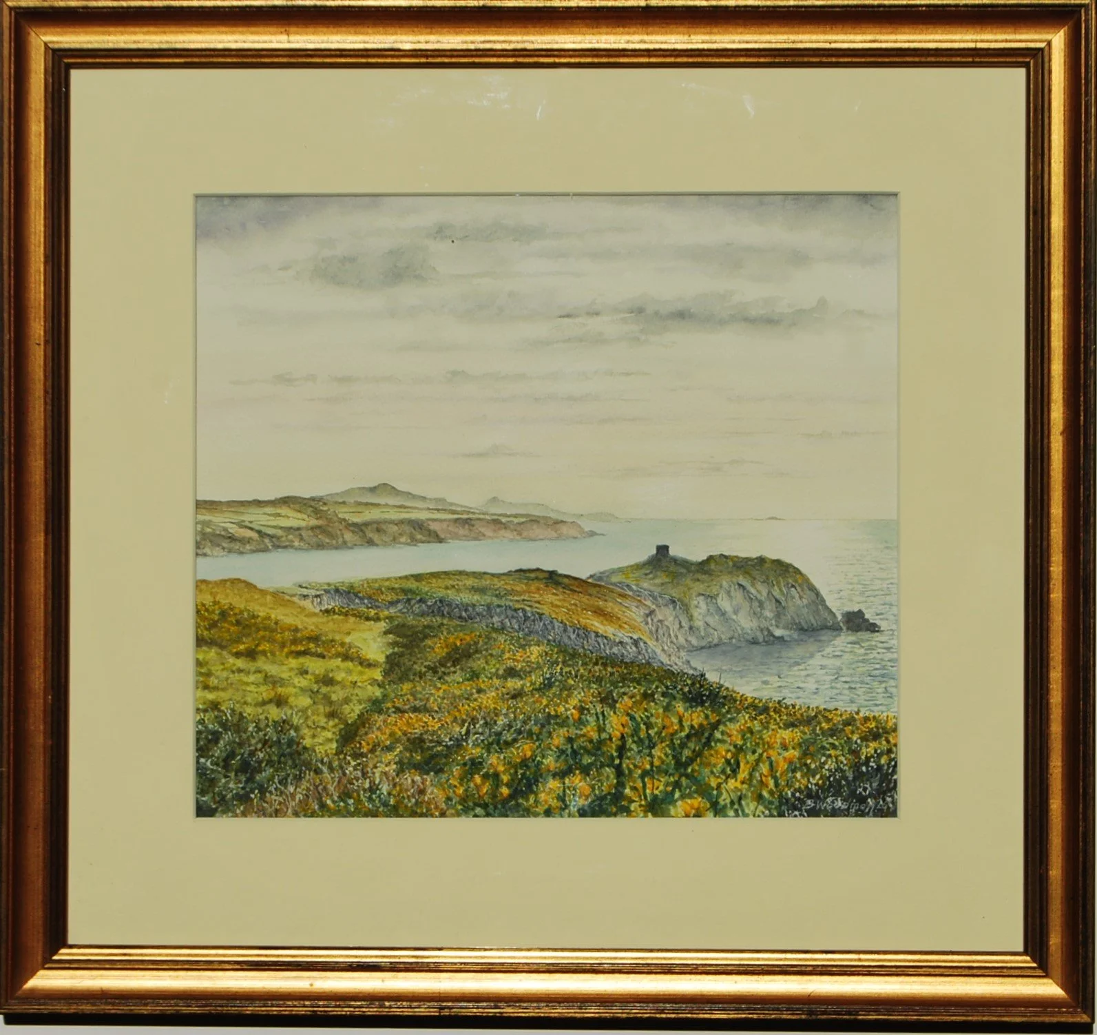 Spring Gorse near Carn Llwyd