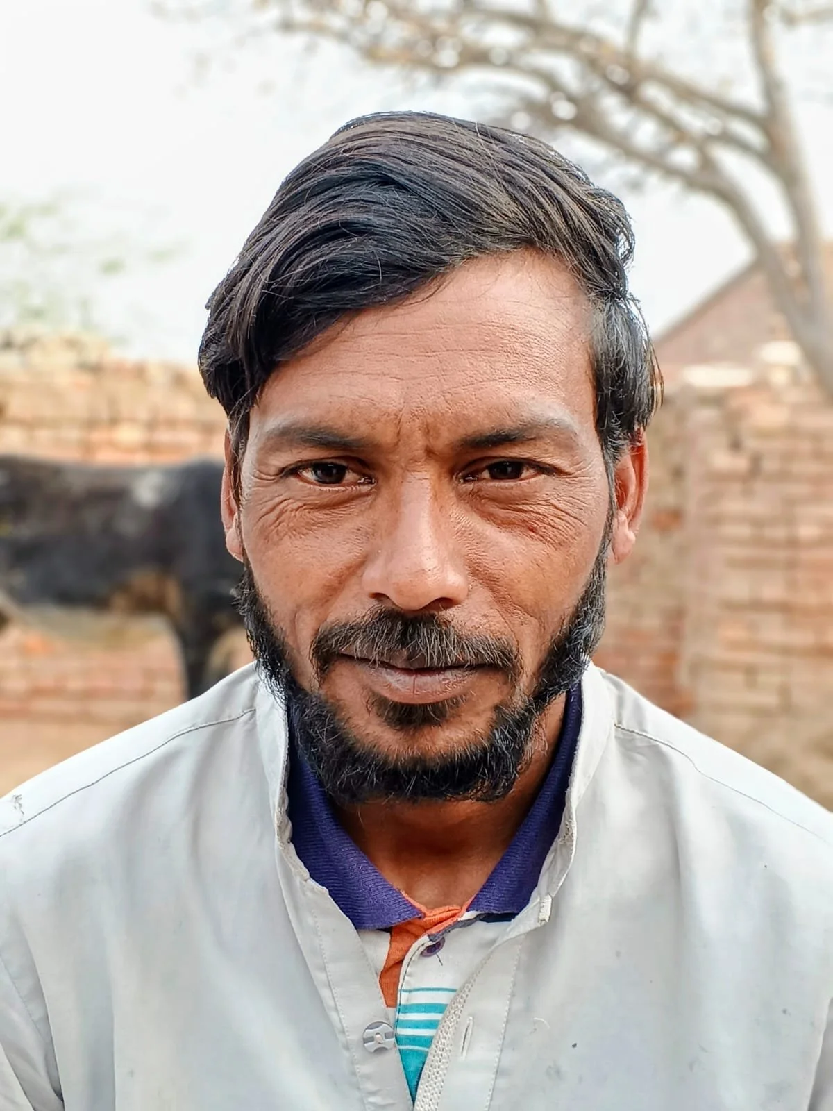 Shamoon - Age: 35 Freedom 1-26-2026