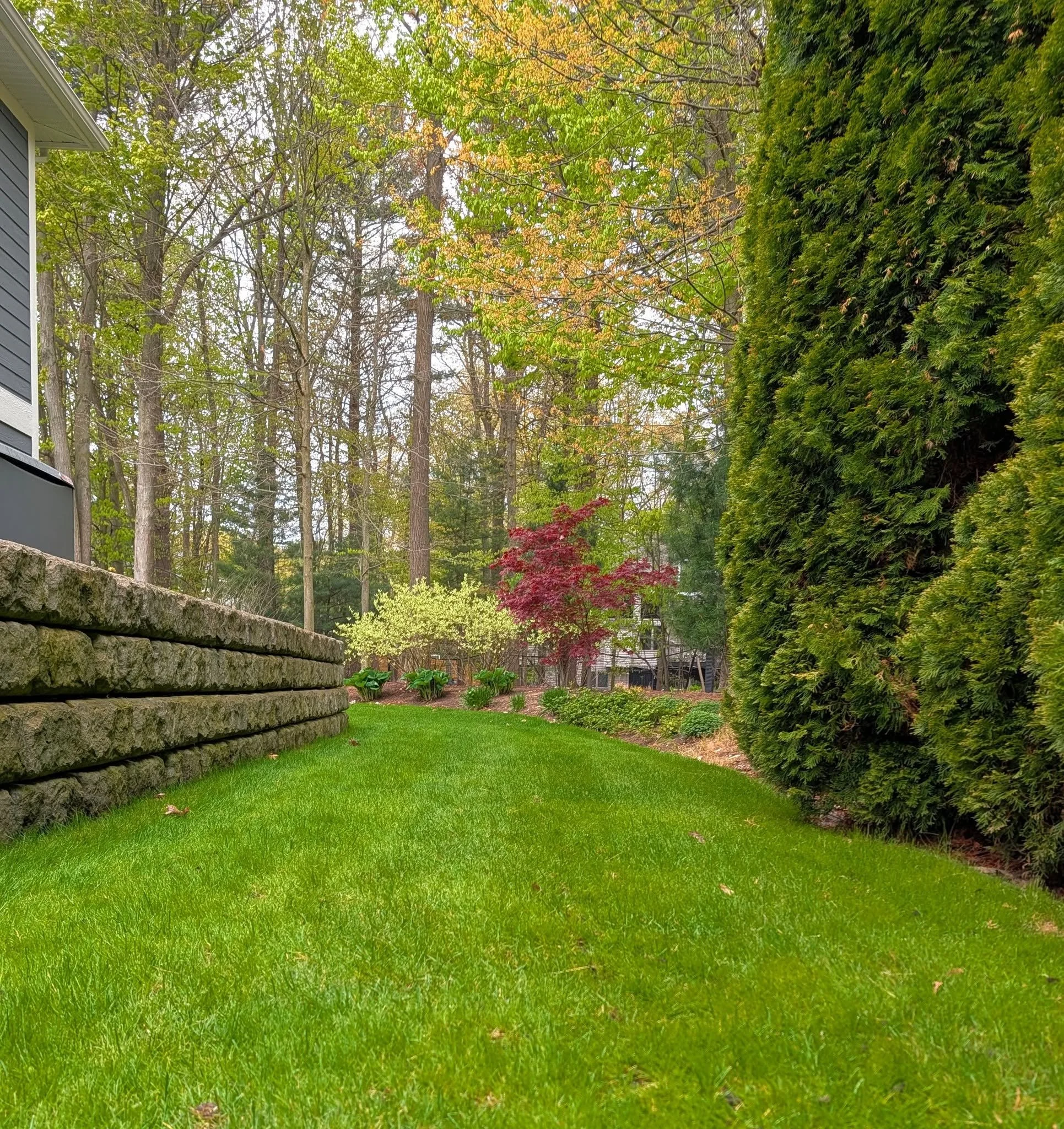 Norton Shores: Cool, cloudy and rainy weather doesn't stop us from spraying lawns. Applying our Worm Compost Tea when it's raining is actually pretty great! It means less evaporation and the rain helps push the microbes deeper into the soil. 🪱🦠