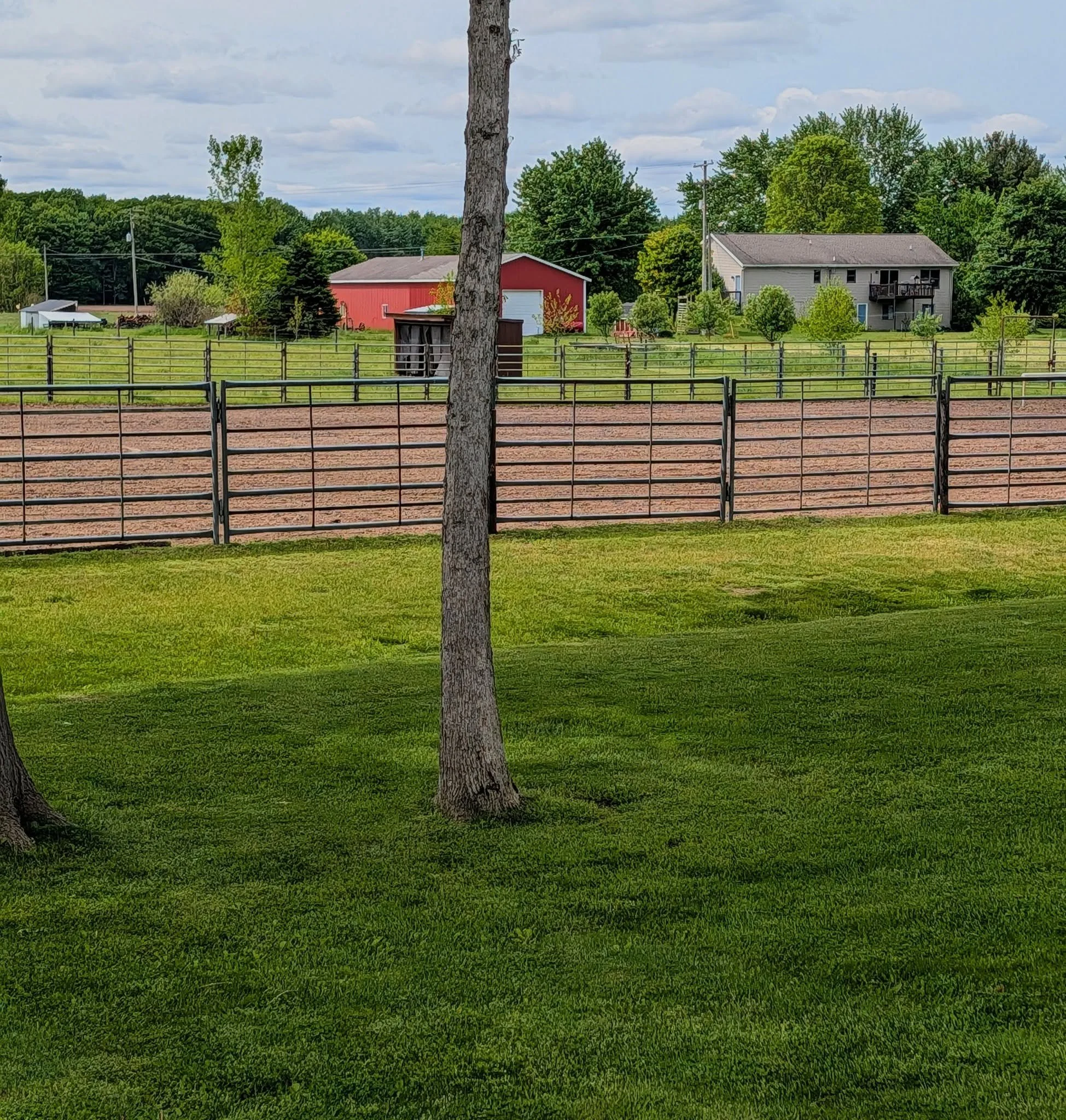 Hudsonville: Our lawn treatments are safe for all life, including farm life. Not just pets, people and pollinators, but cows, horses and goats are safe when we spray our Compost Tea on lawns.