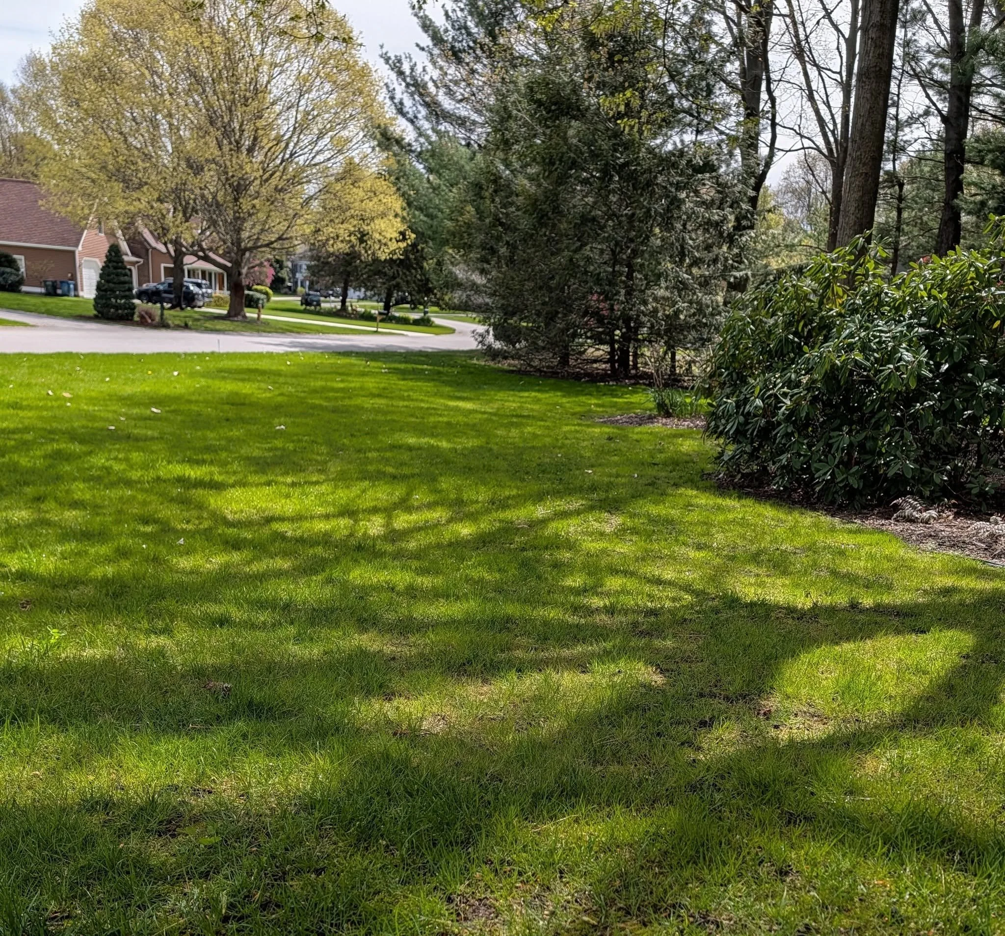 Park Township: Water-soluble synthetic fertilizer gives a quick green flush, then the nitrogen leaches out, leaving roots shallow and soil biology starved. Organic matter works differently. Compost, alfalfa pellets and compost tea stimulate microbial