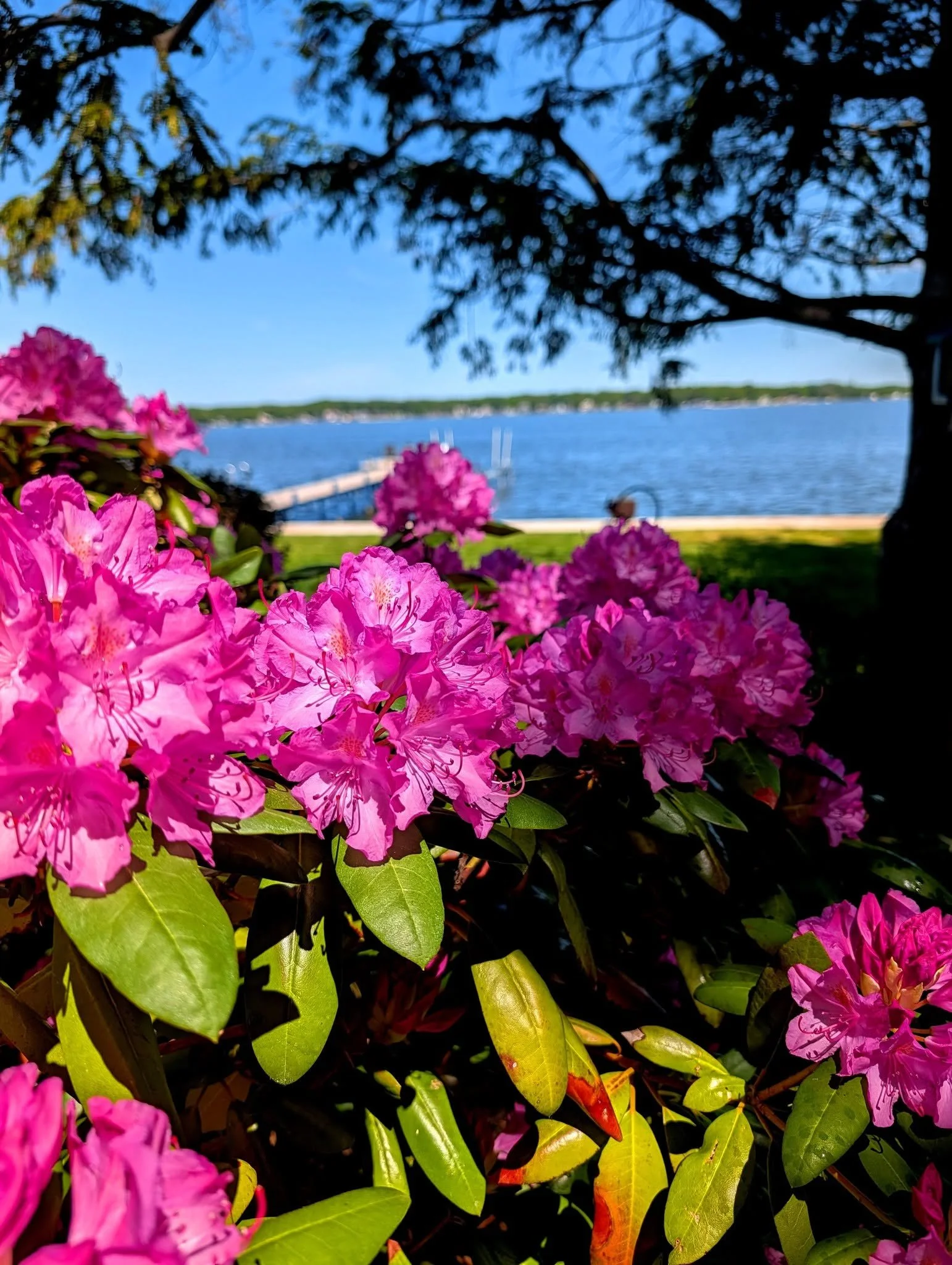 Holland: Wrapped up the month of May 2026 spraying lawns and landscapes along the always-scenic Lake Macatawa. 
Lake Macatawa has battled decades of agricultural runoff and phosphorus overload, and it was once ranked among Michigan's most polluted la