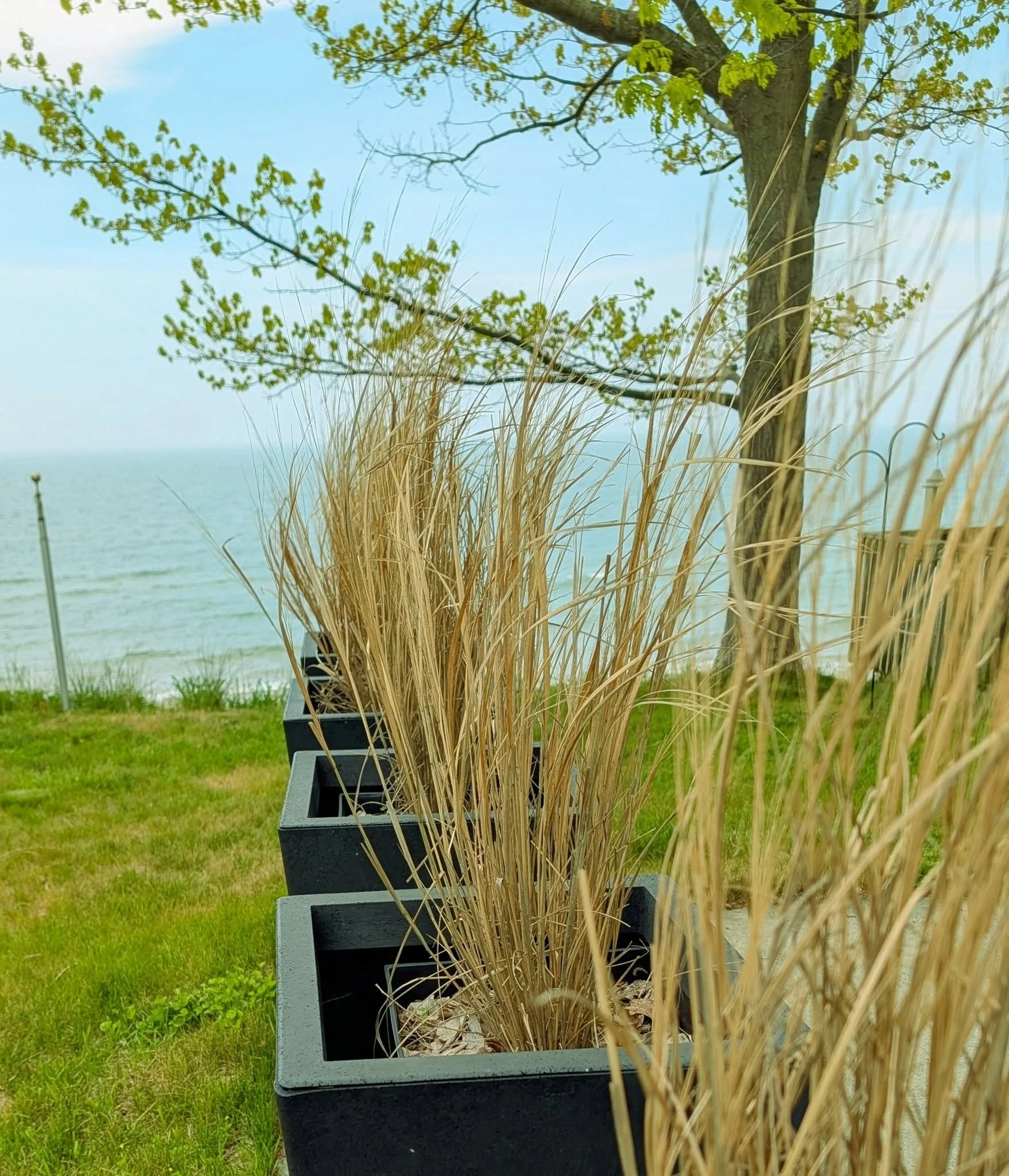 Grand Haven: Our lawn treatments are water safe, wildlife safe, people safe, pet safe and pollinator safe. 