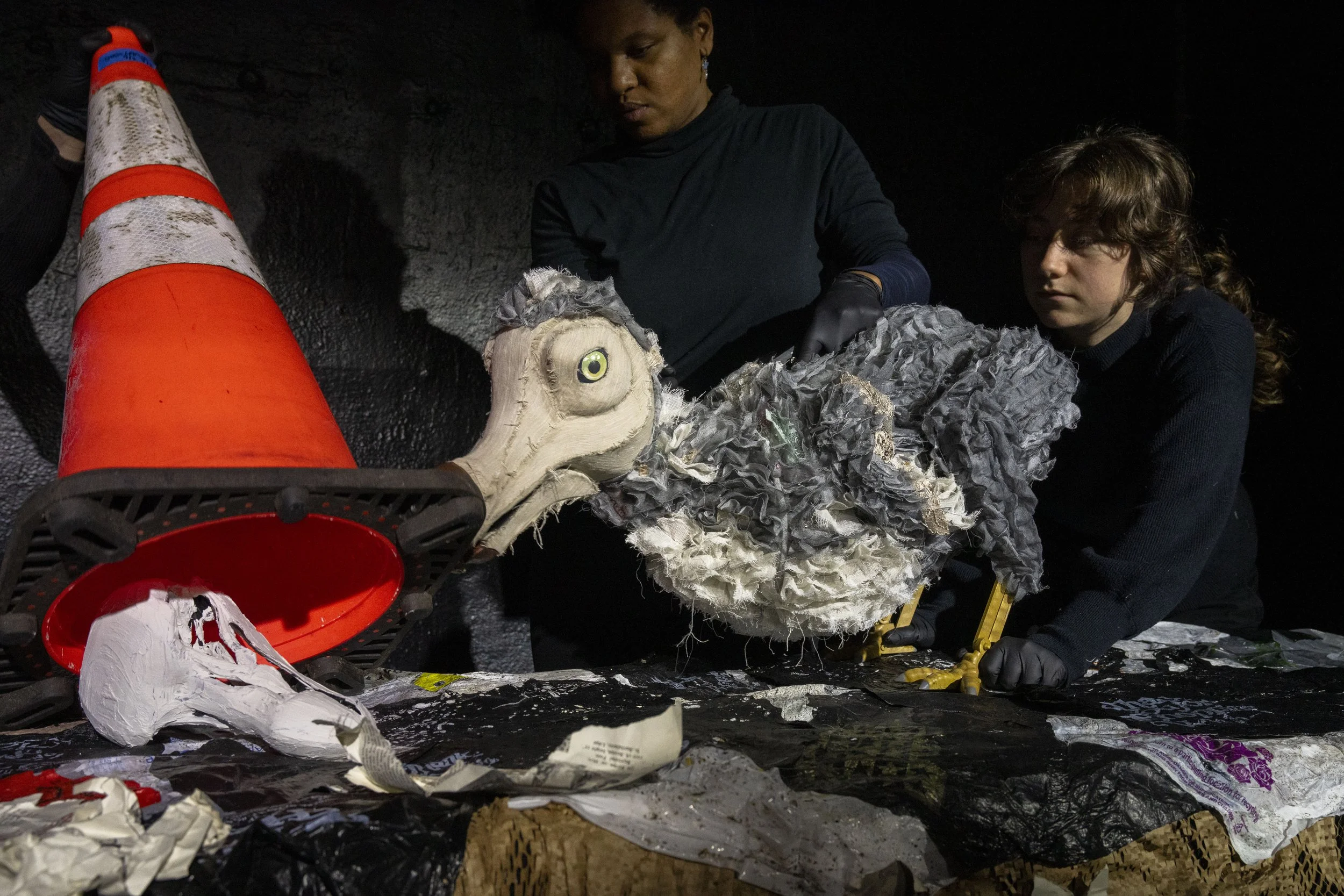 2026-08-31 Dodo Land-CAN TUNA-The Tank-RT 002.JPG