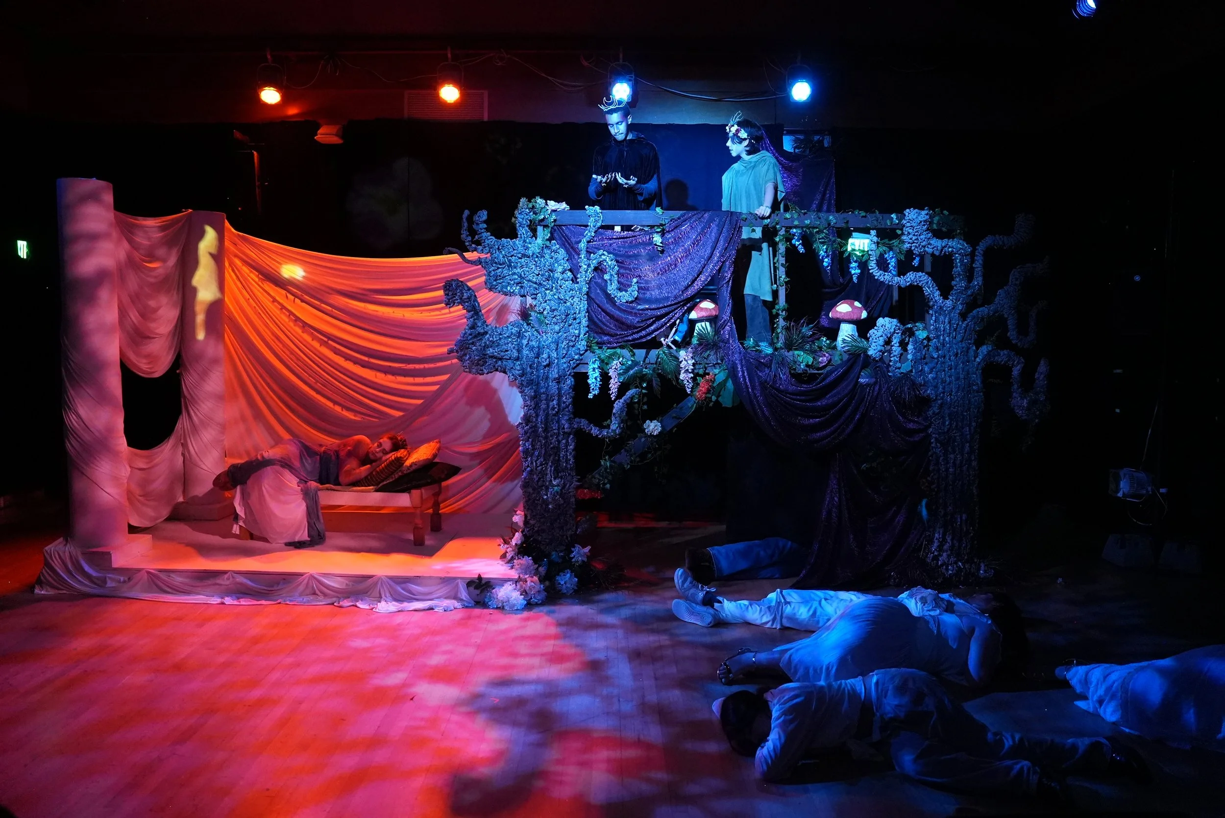 A Midsummer's Night Dream