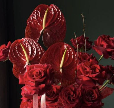 Screen Shot 2026-01-12 at 5.16.46 PM.png