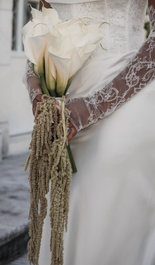 Screen Shot 2026-02-19 at 10.07.47 PM.png